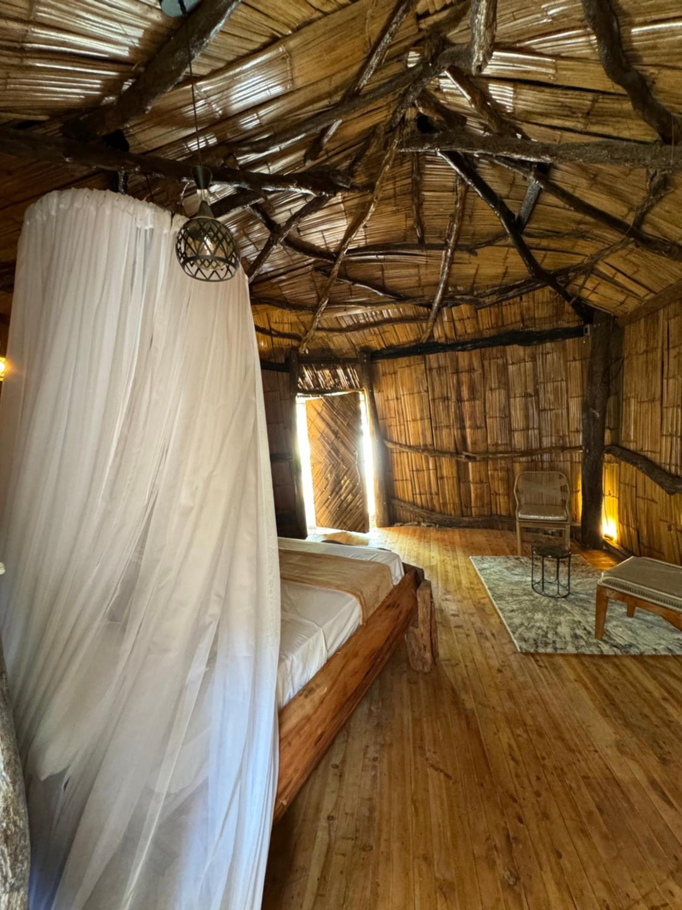 Suite with Terrace photo 1