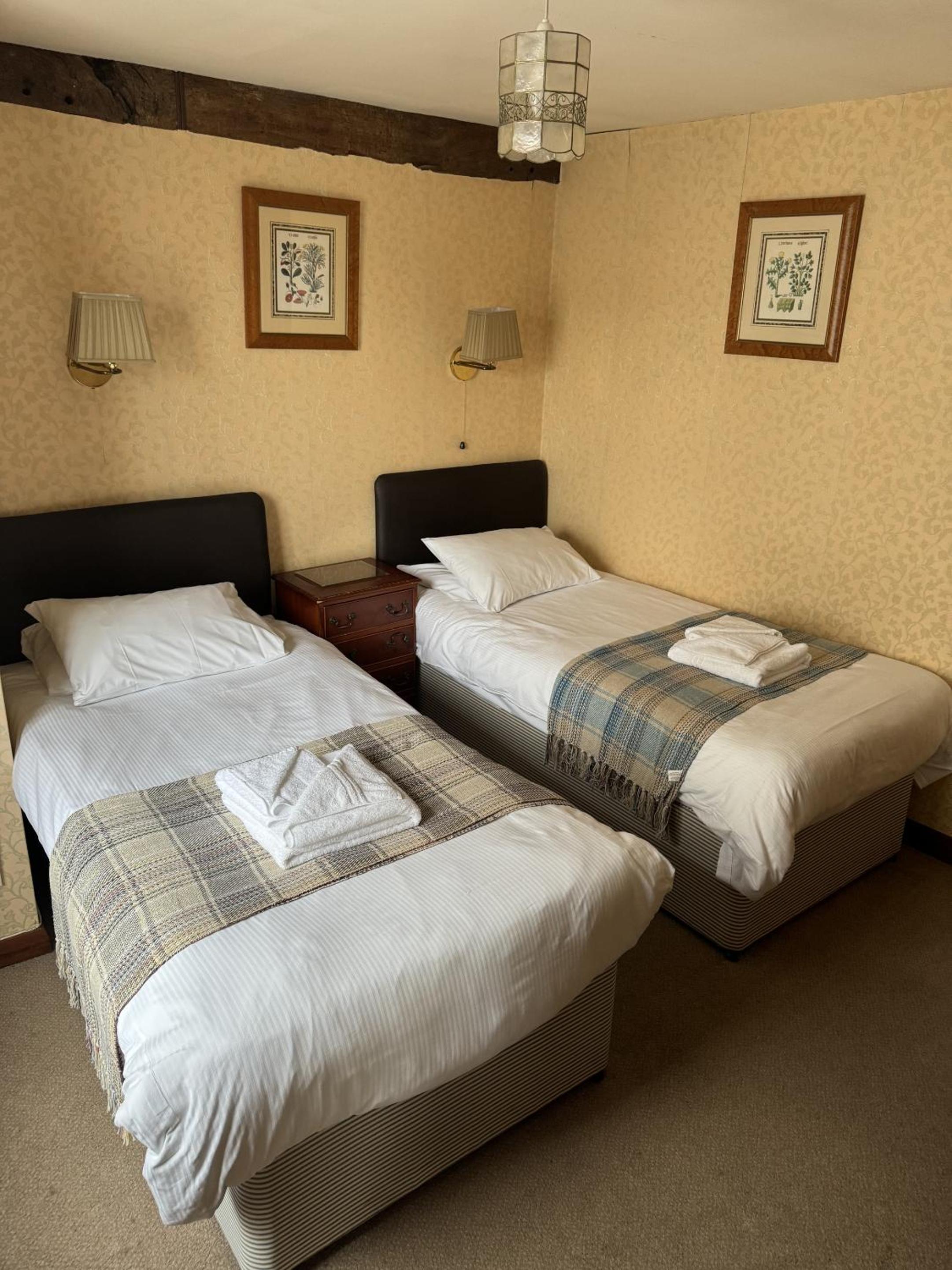 Standard Twin Room photo 1