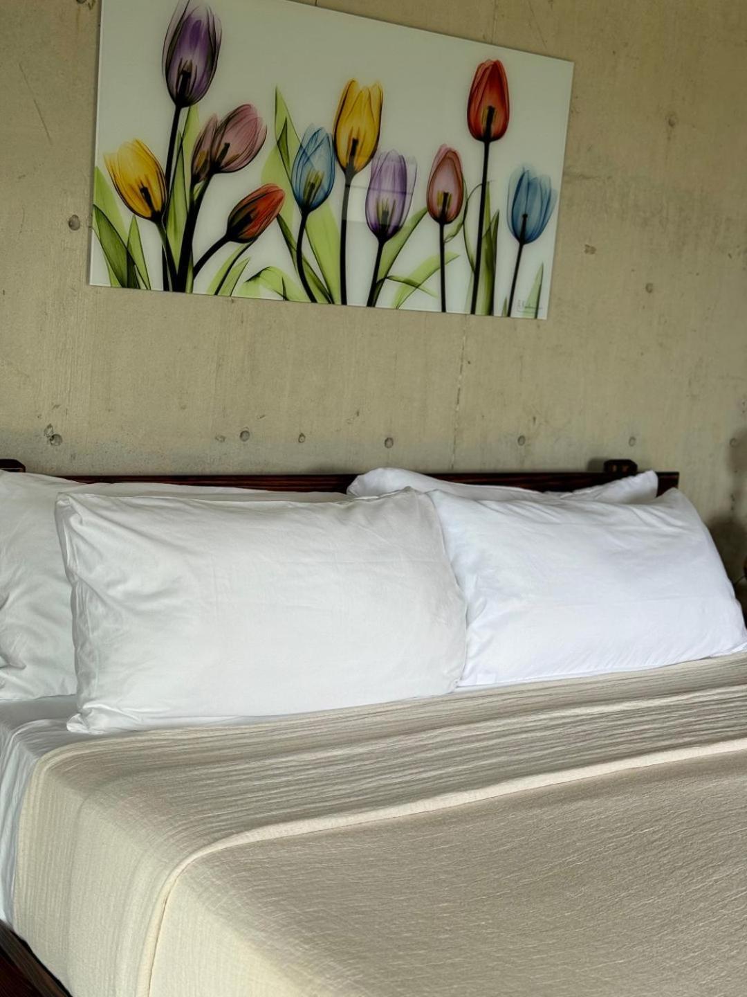 King Room with Sea View photo 1