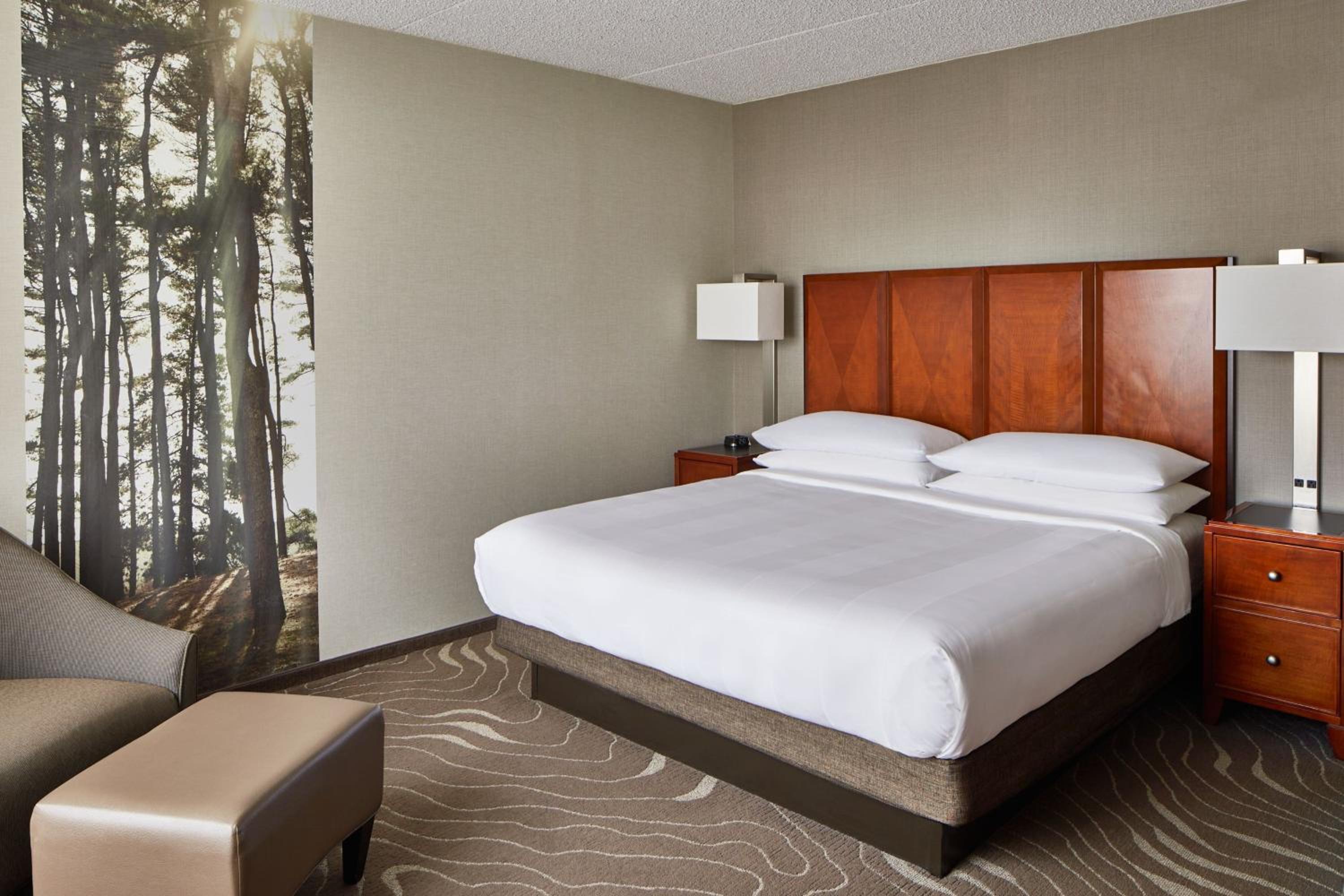 King Room - Photo 4