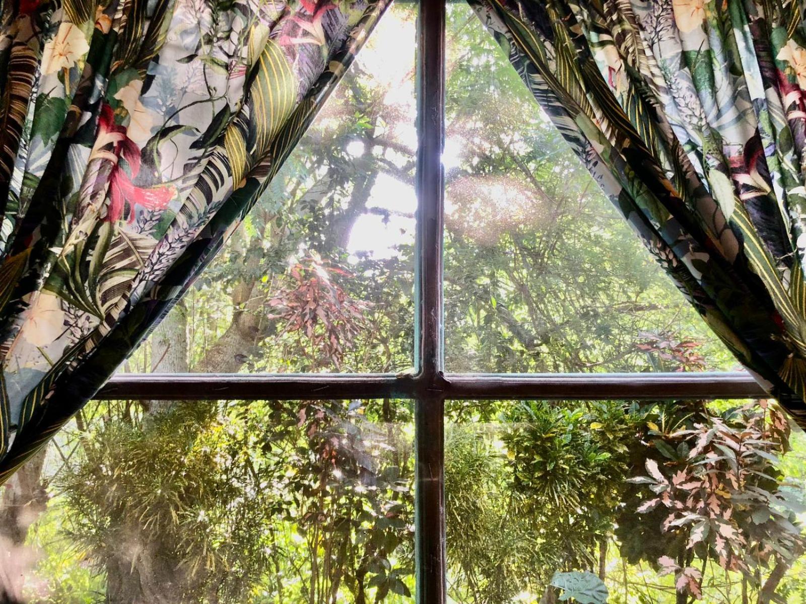 Double Room With Garden View photo 3