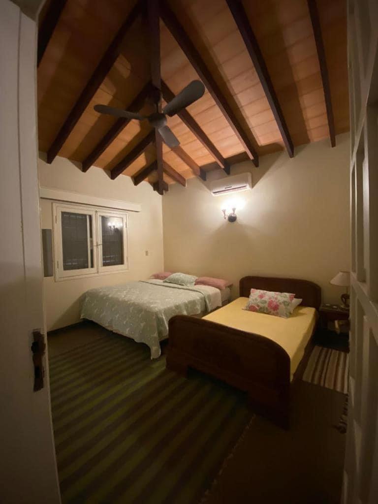 One-Bedroom House photo 1