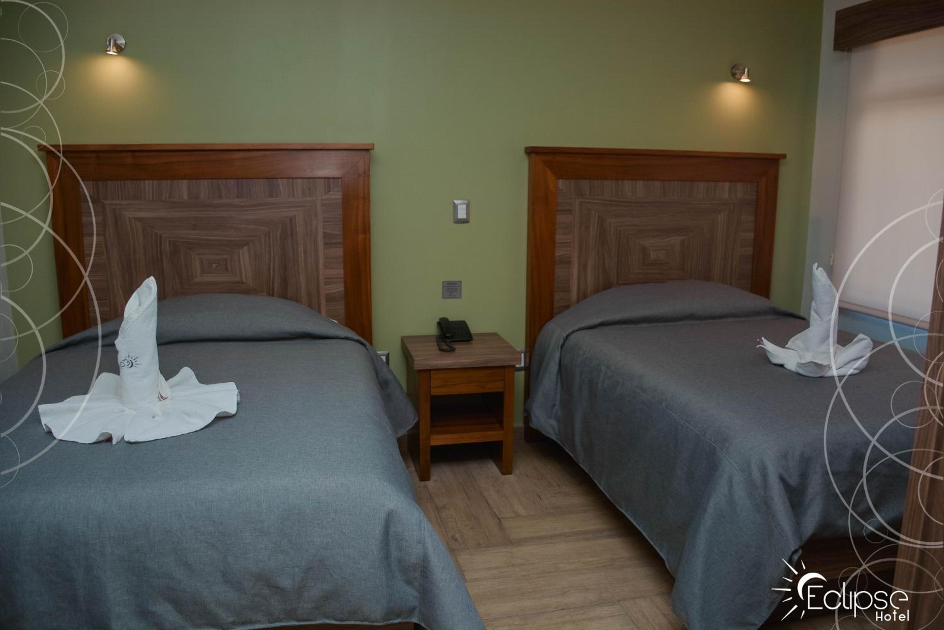 Twin Room photo 2