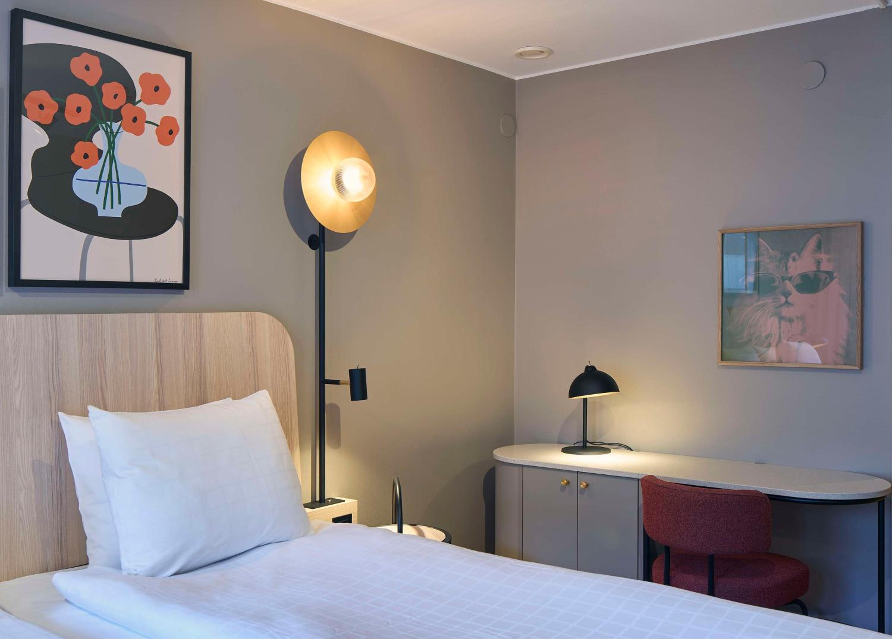 Single Room photo 1