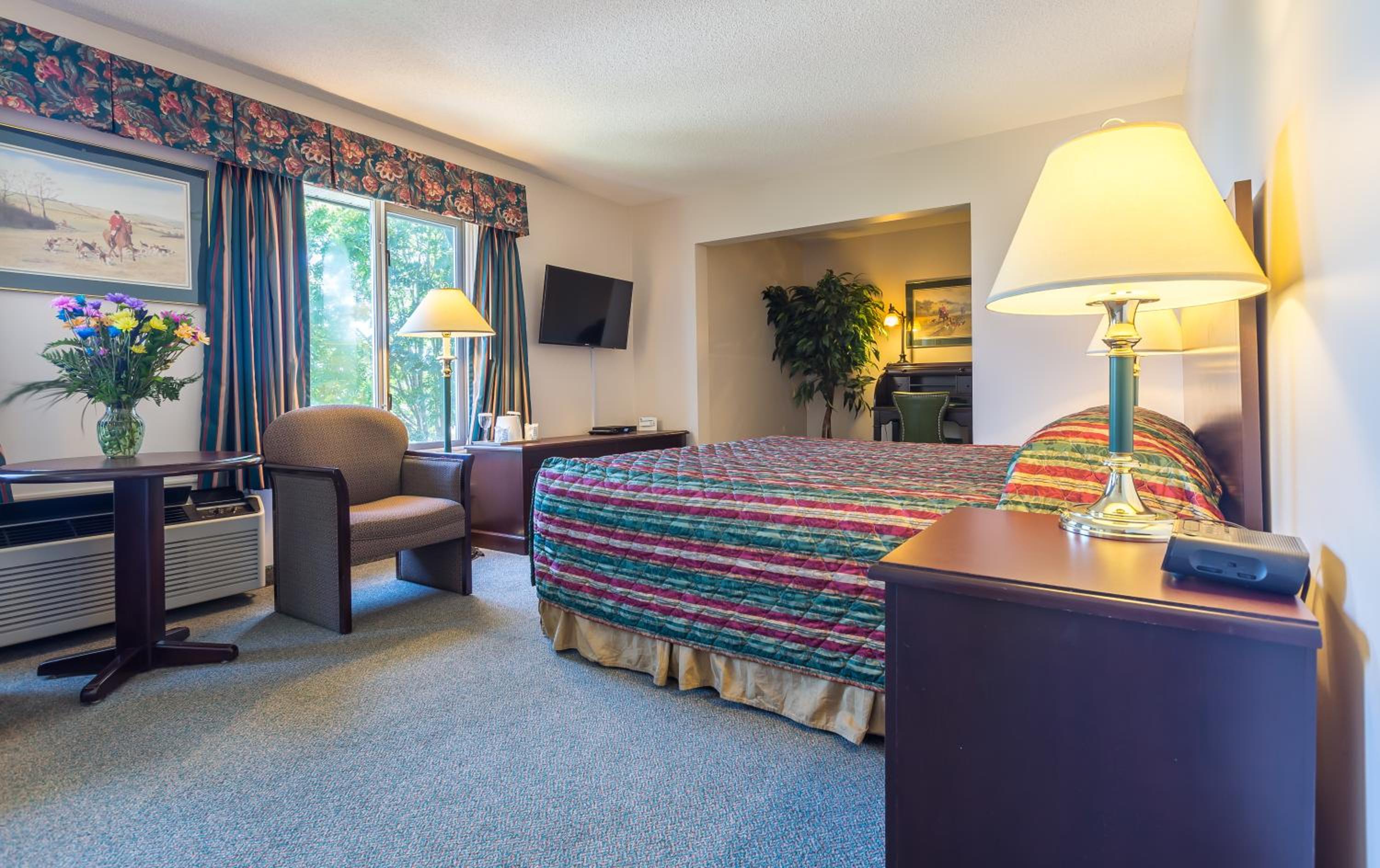 King Room photo 3