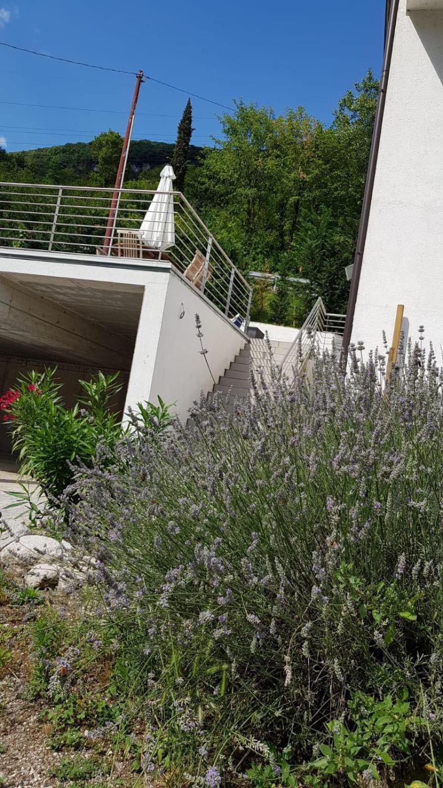 Studio with Garden View