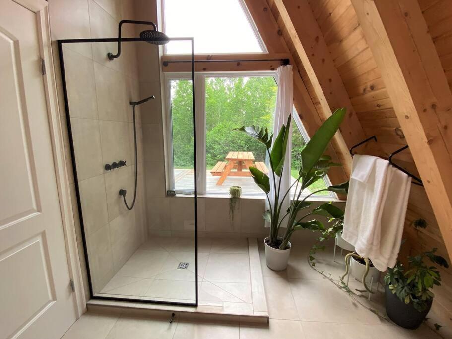 One-Bedroom Chalet photo 3