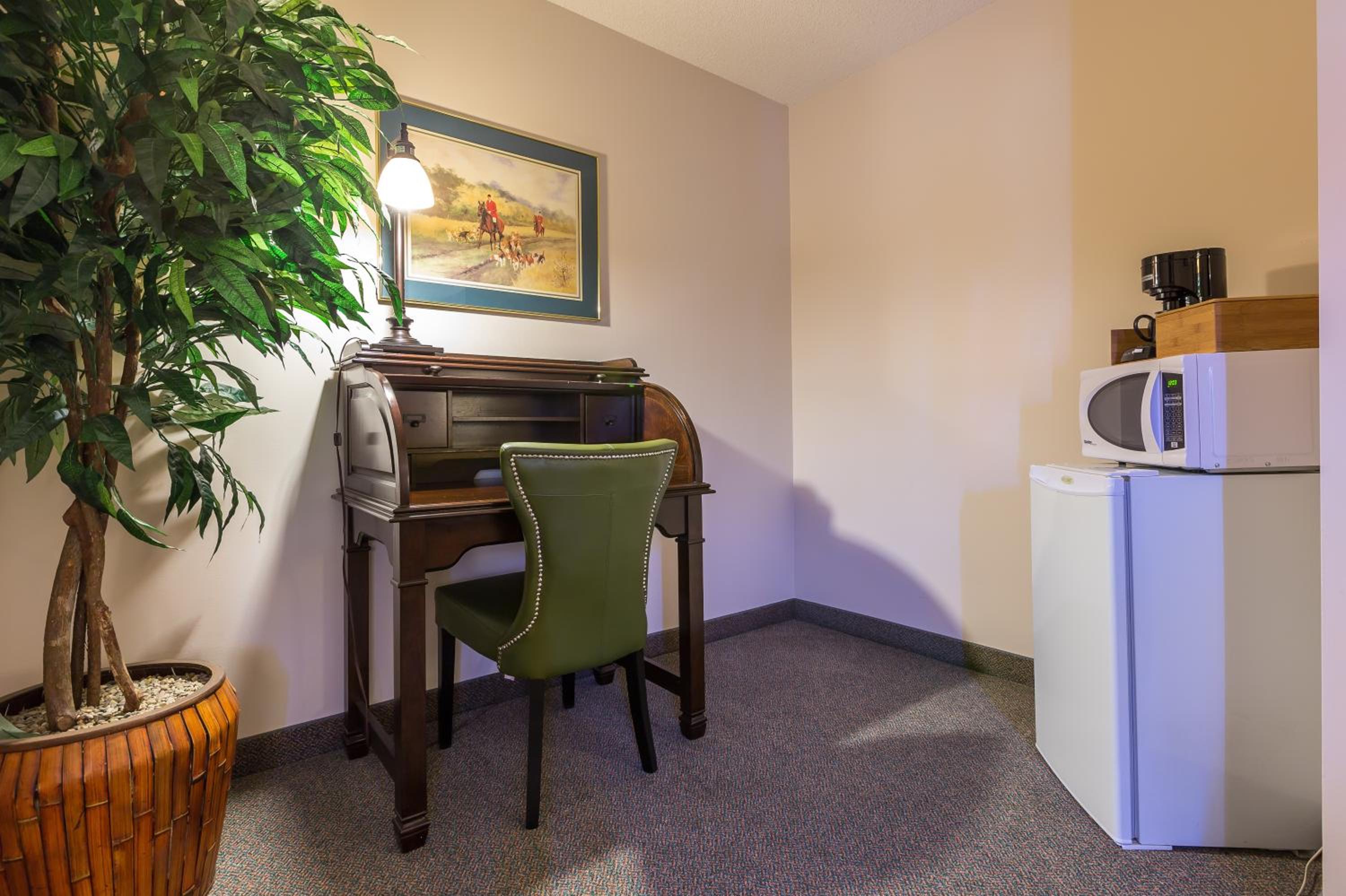 King Room photo 2