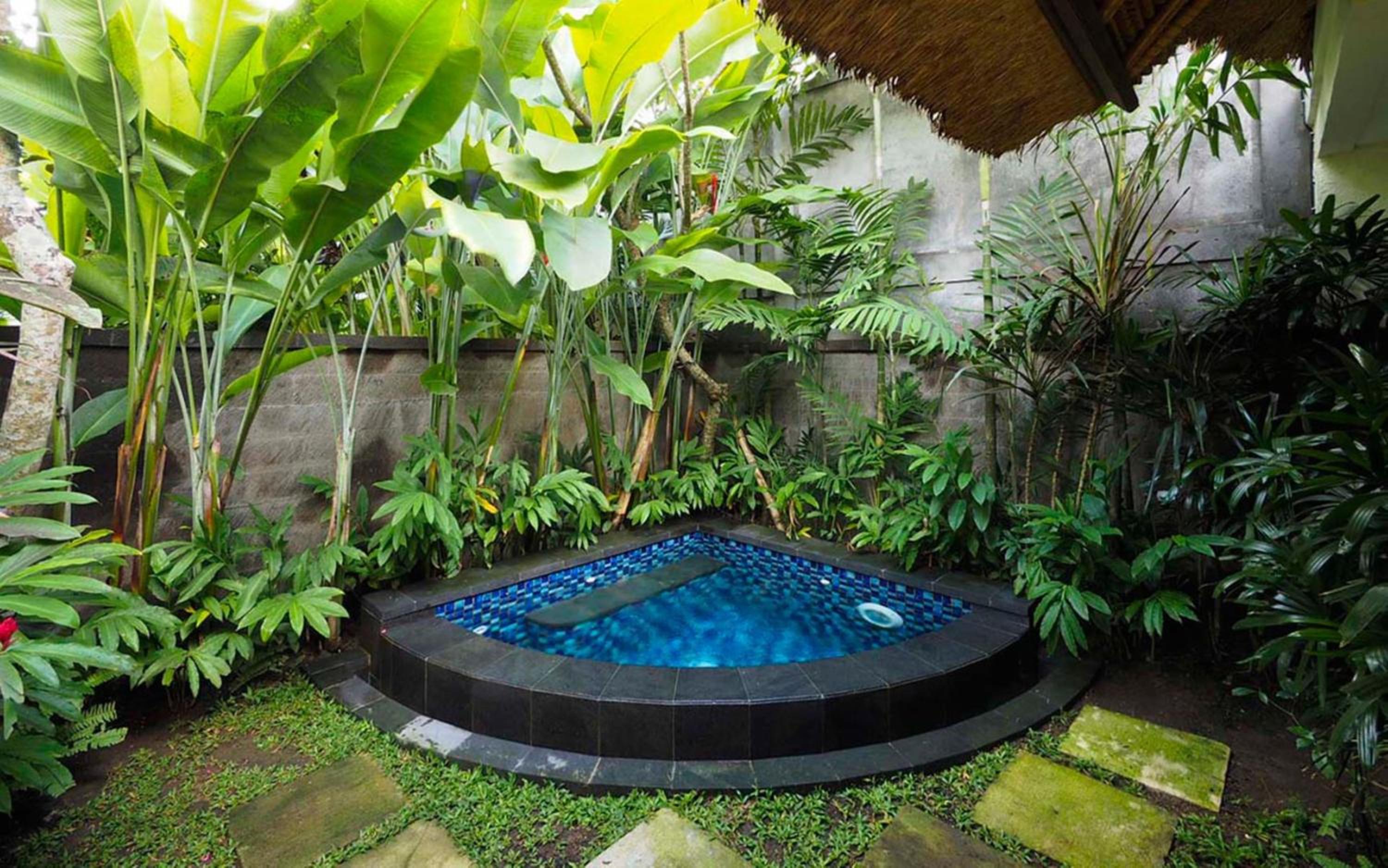 Honeymoon Package At Plunge Pool Villa photo 2