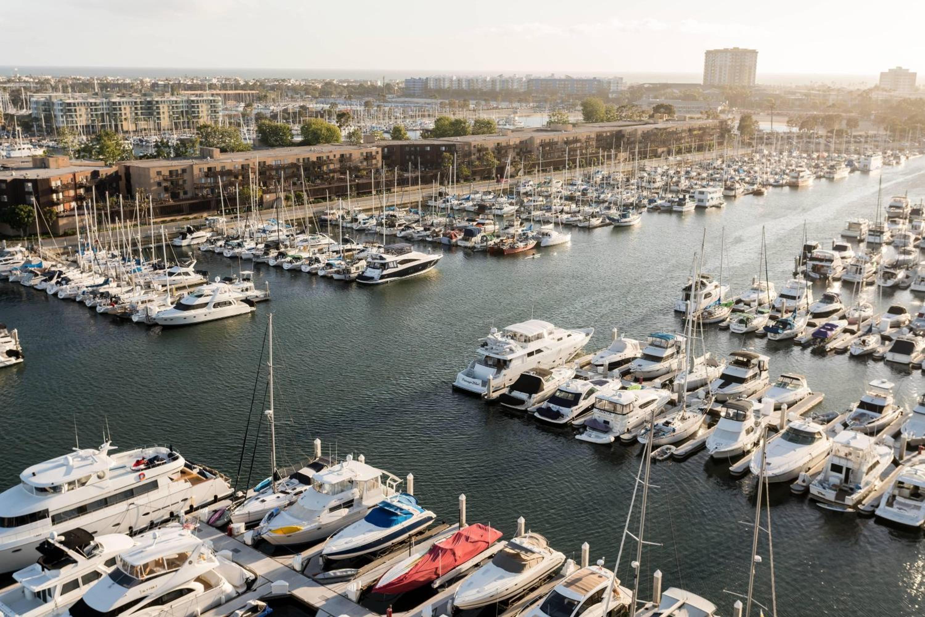 1 Bedroom Executive Suite with 1 King bed, Sofa bed and Marina view