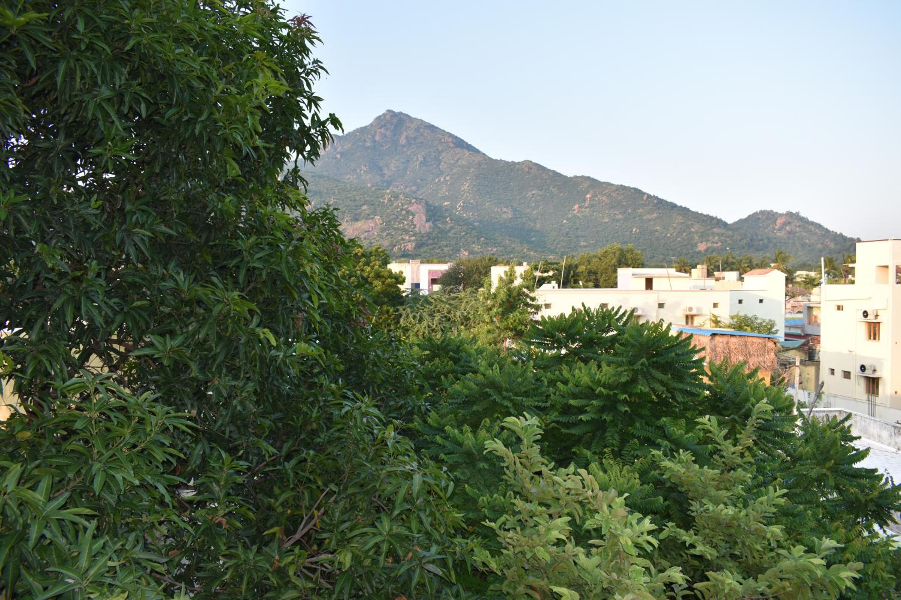 Apartment with Mountain View - Photo 6