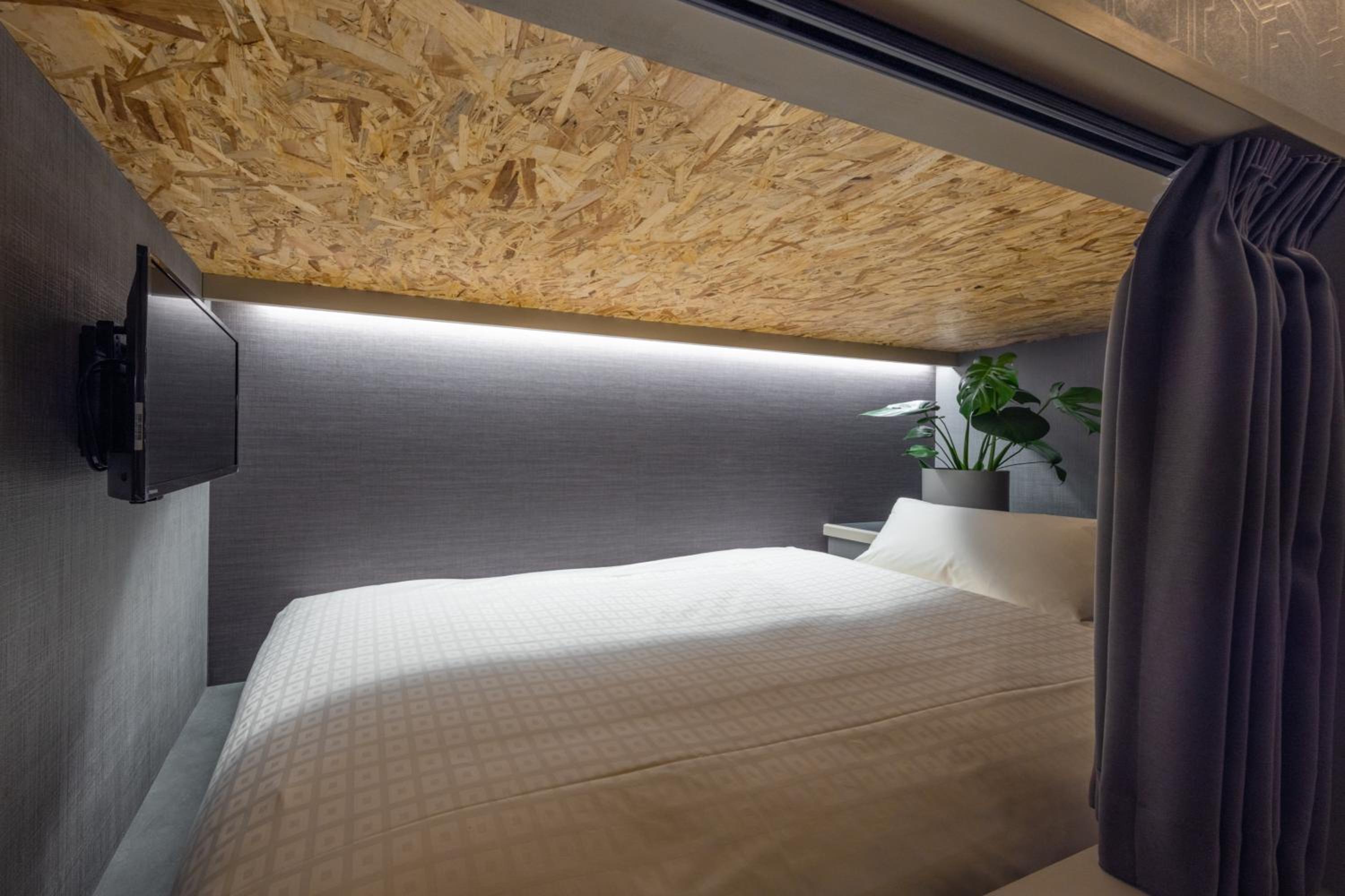 Bunk Bed in Mixed Dormitory Room