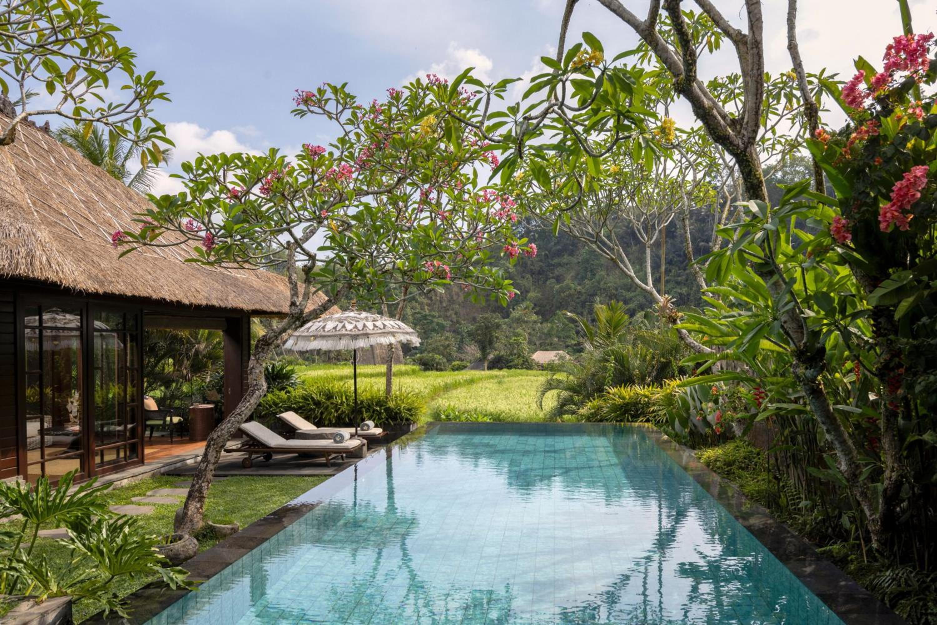 One Bedroom Ubud Pool Villa. - Pool View