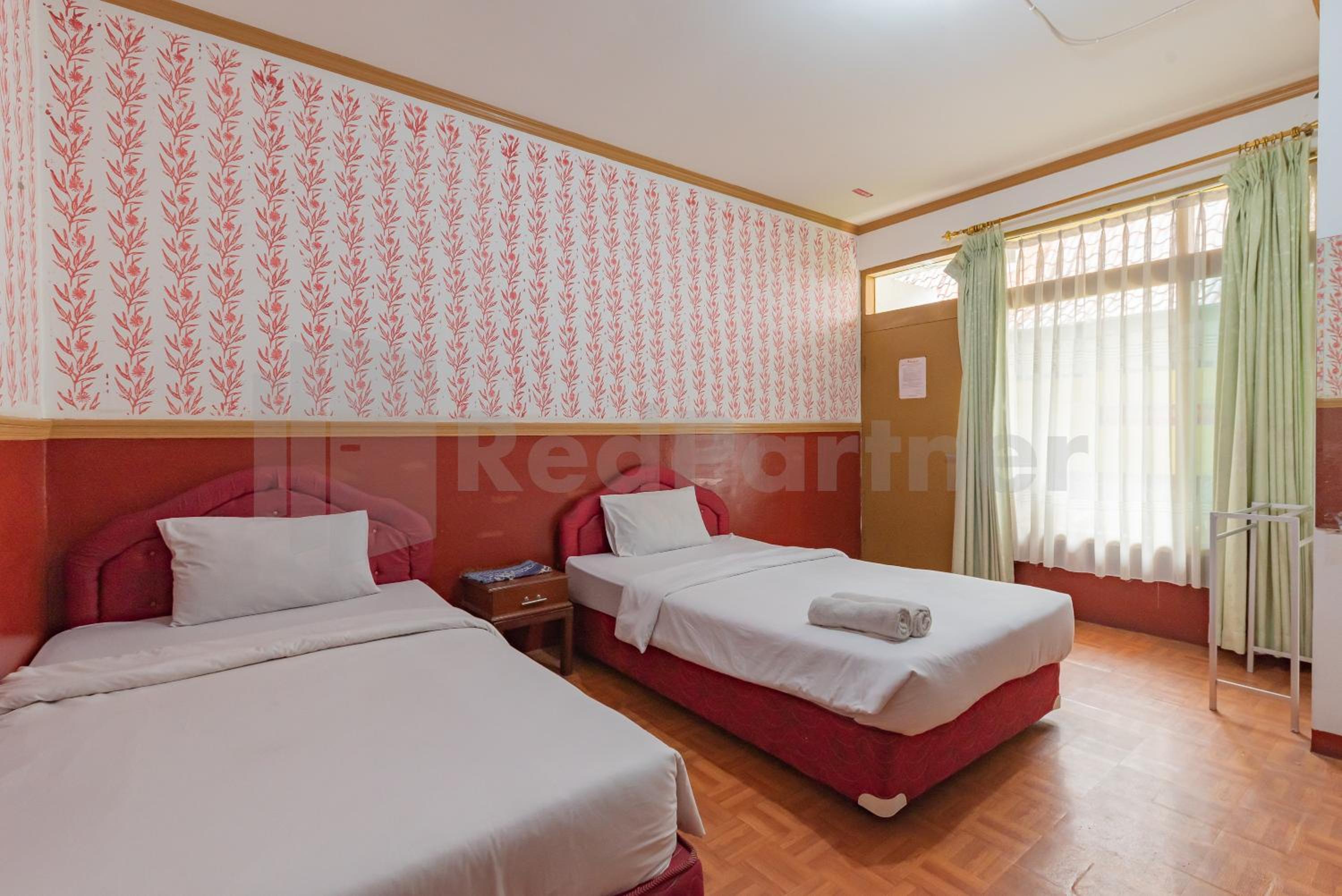 Twin Room - Photo 1