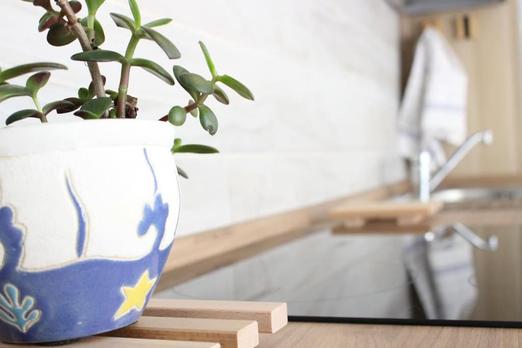 Studio Apartment photo 3