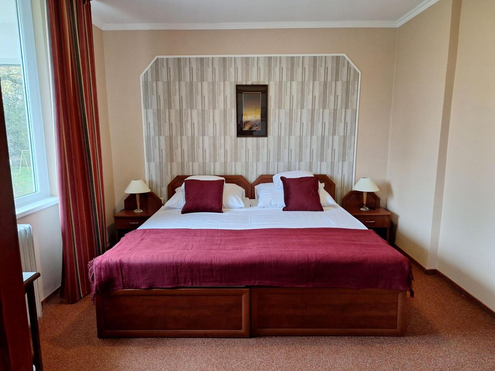 Comfort Double or Twin Room - Photo 10