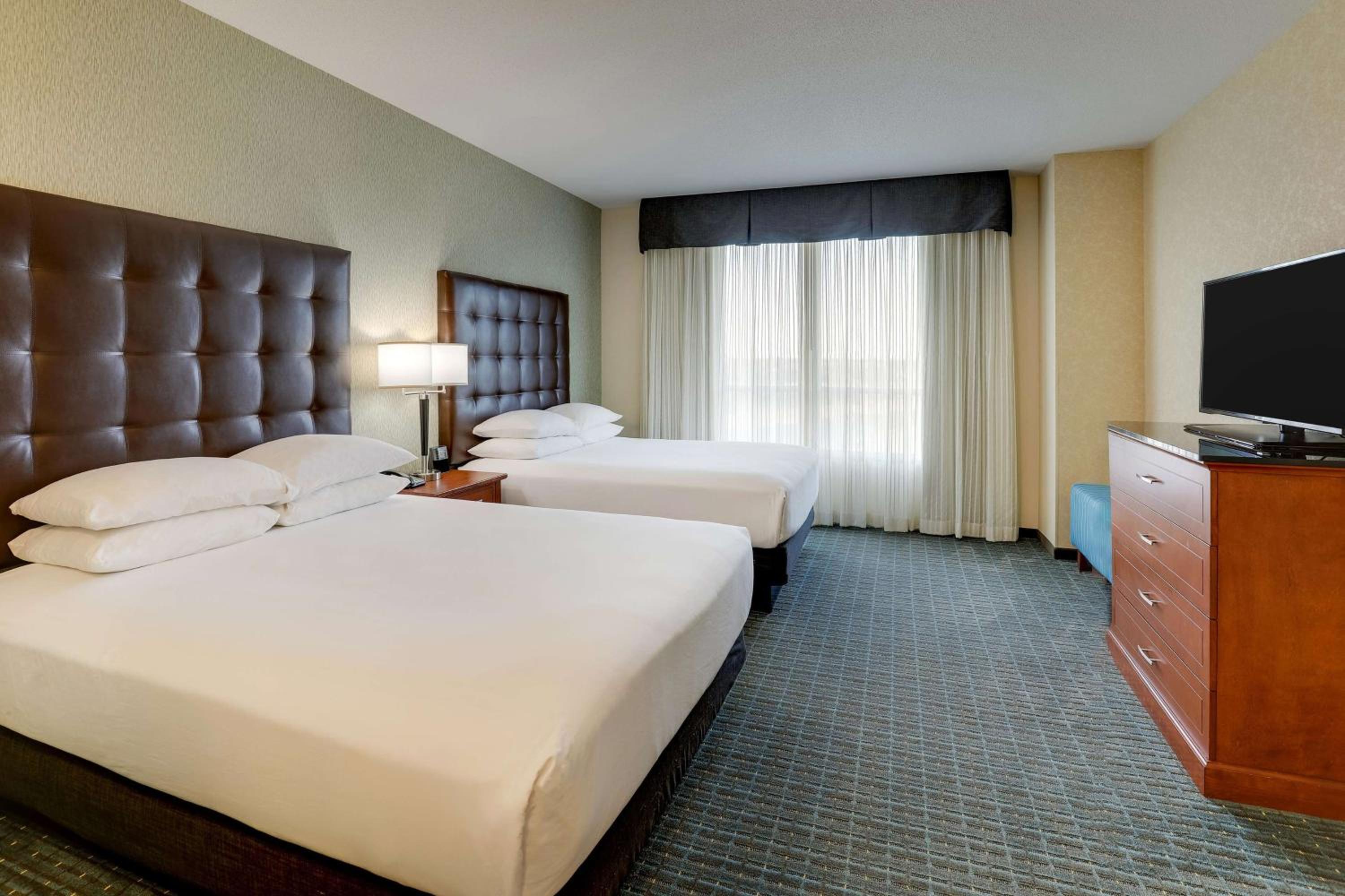 Queen Suite with Sofa Bed - Hearing Accessible photo 2