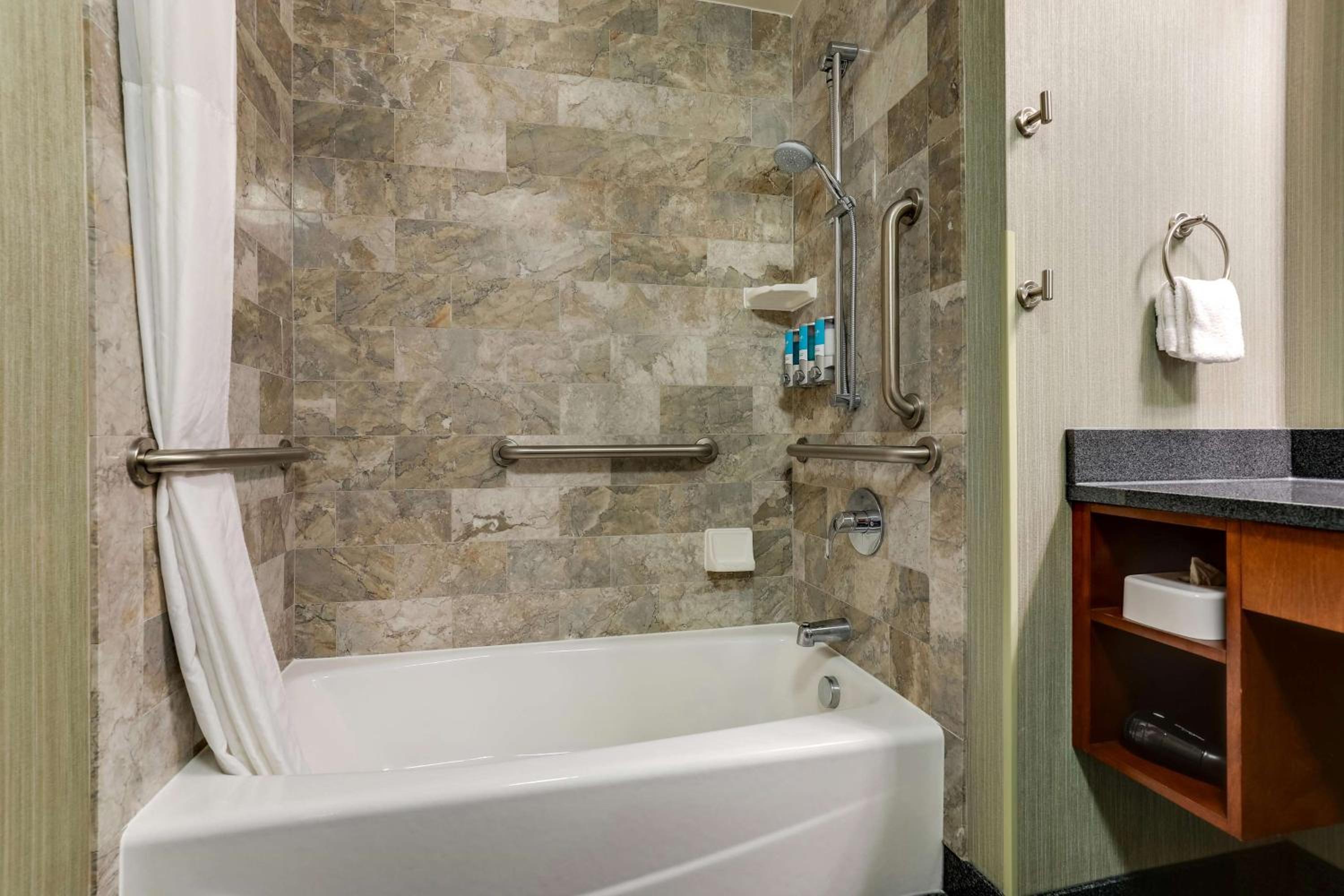 King Suite with Sofa Bed - Accessible, Tub