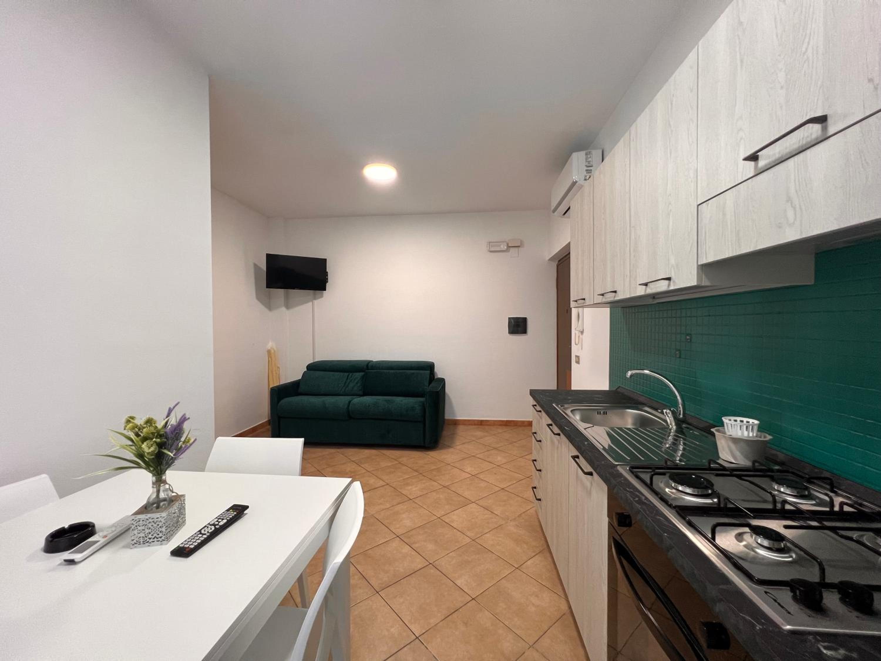 One-Bedroom Apartment photo 3