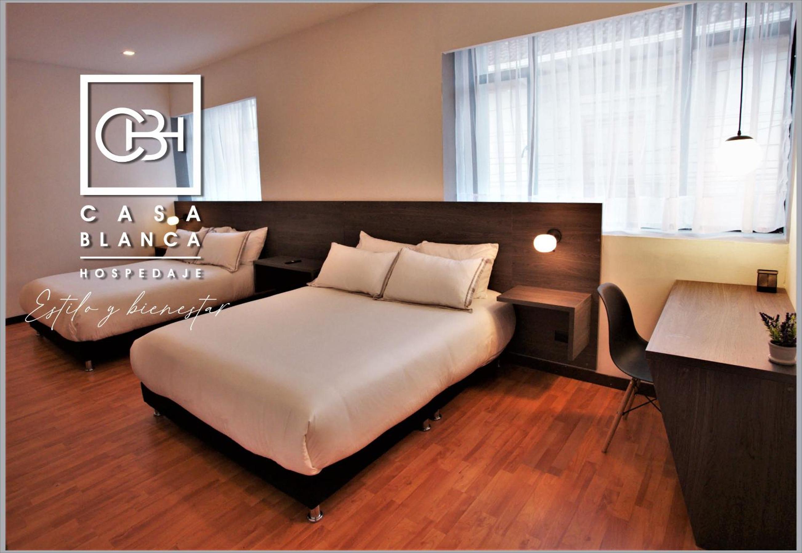 Large Twin Room photo 3