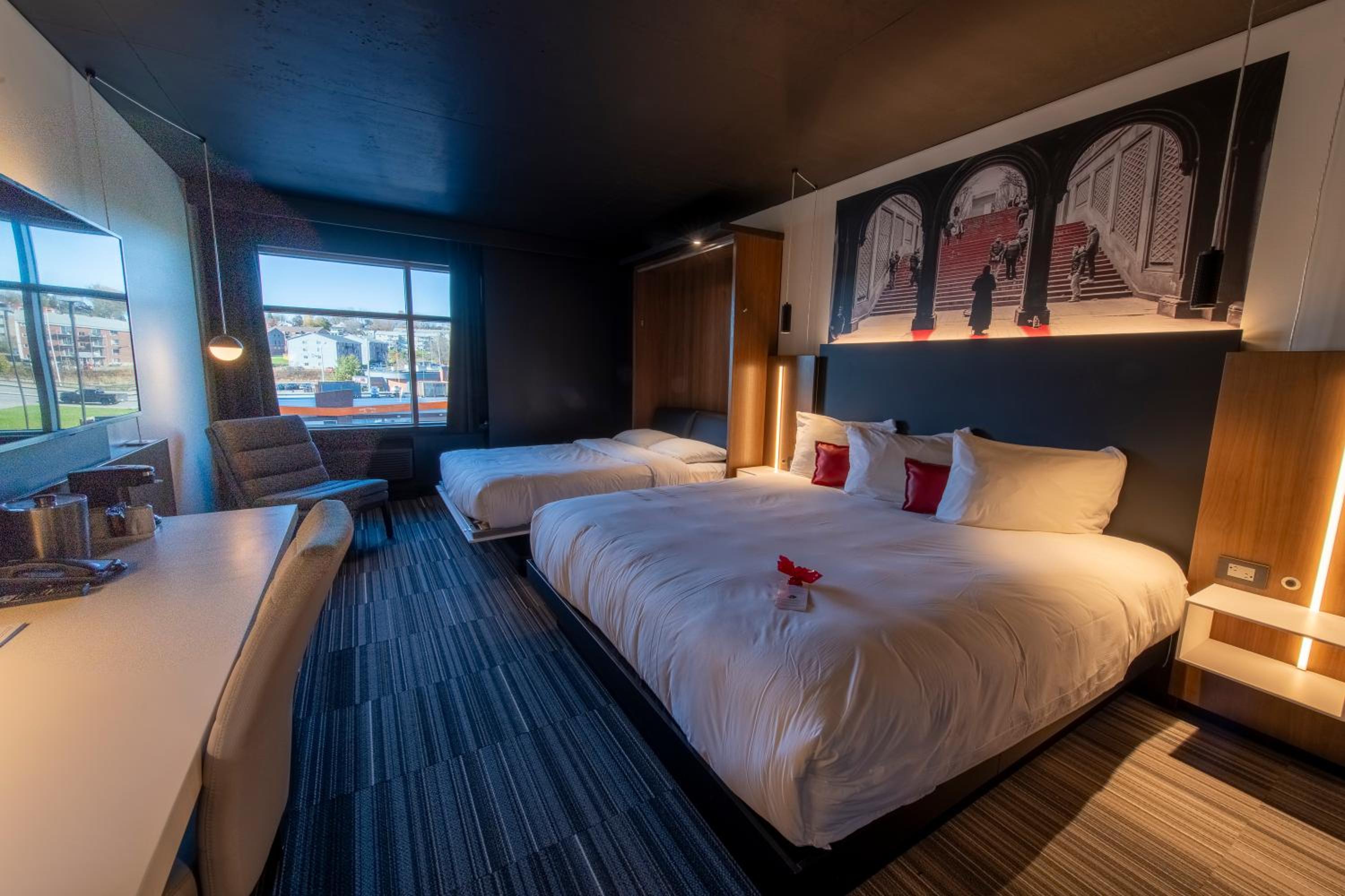 Suite - Photo 1