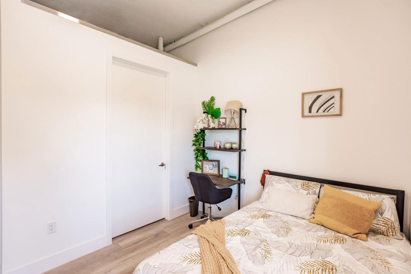 Single Bed in Mixed Dormitory Room photo 1