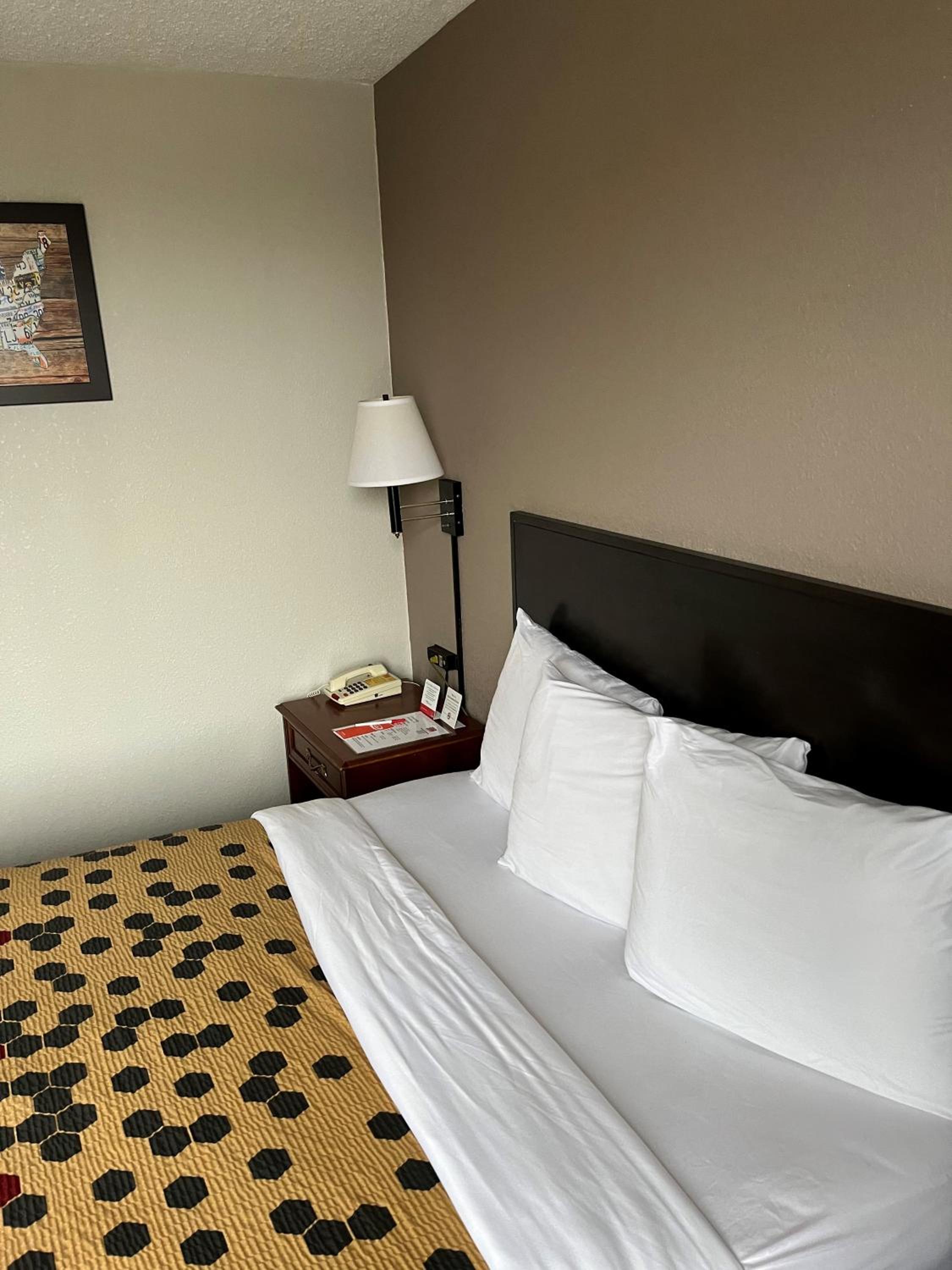 King Room - Disability Access photo 3