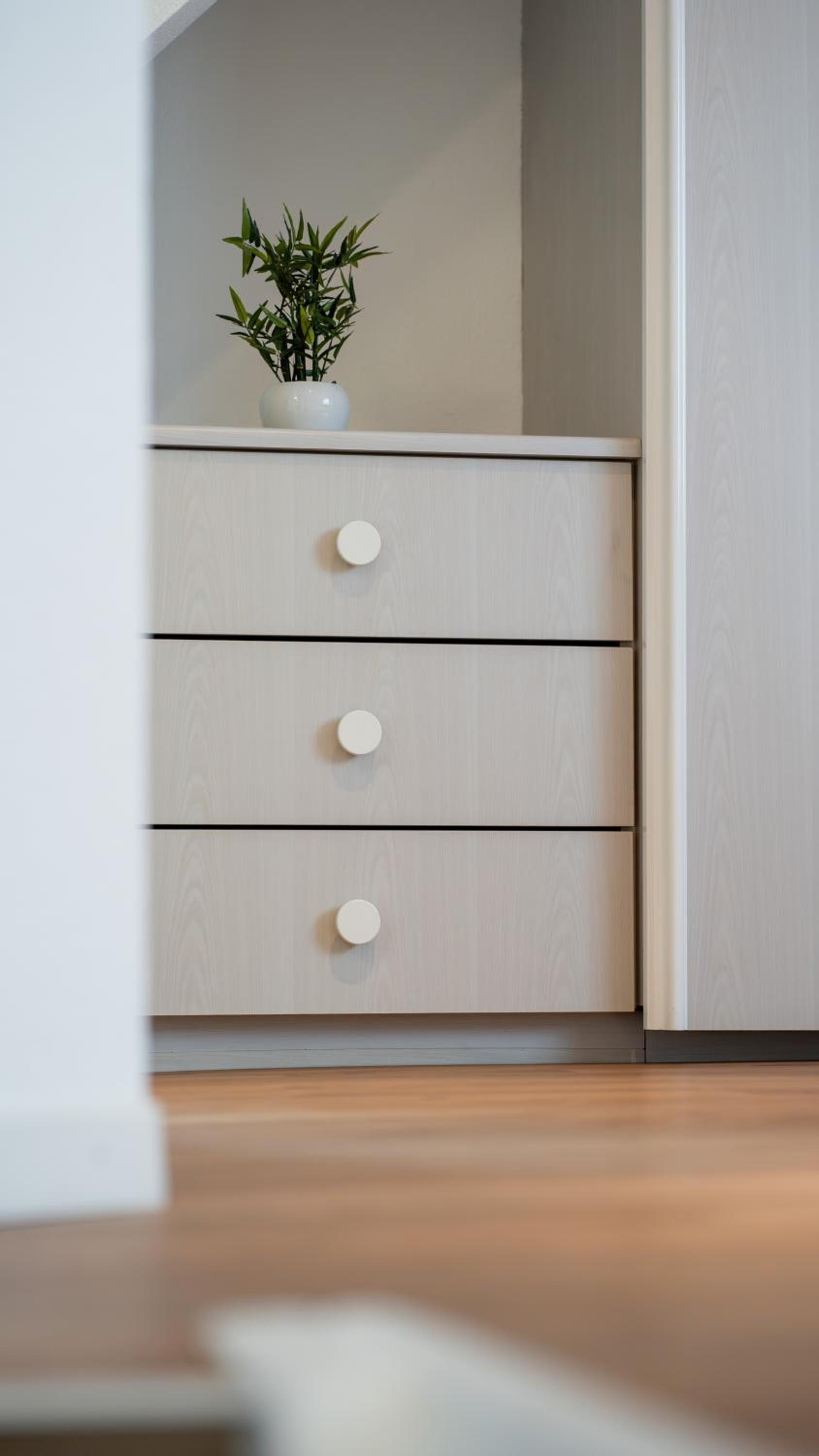Suite - Photo 1