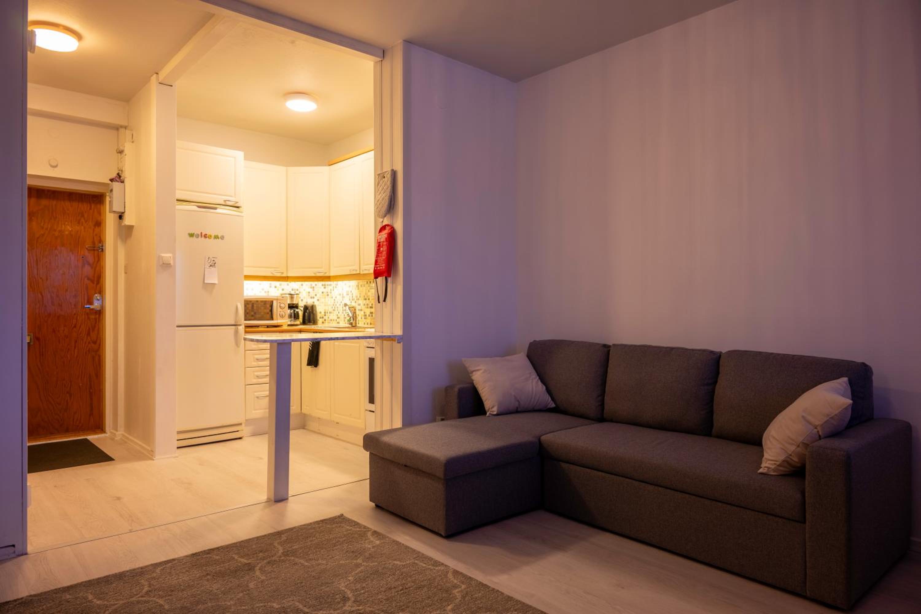 One-Bedroom Apartment photo 1
