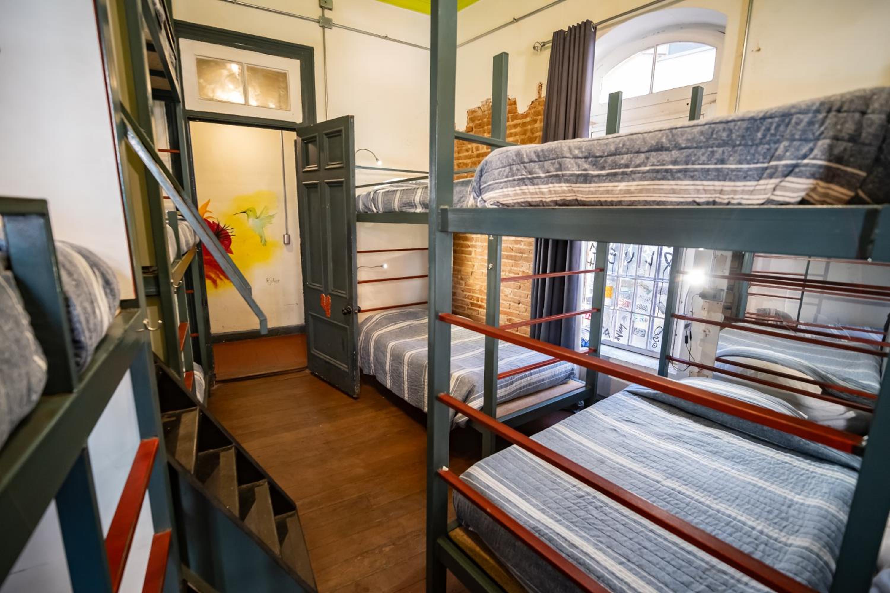 Bunk Bed in Mixed Dormitory Room photo 3