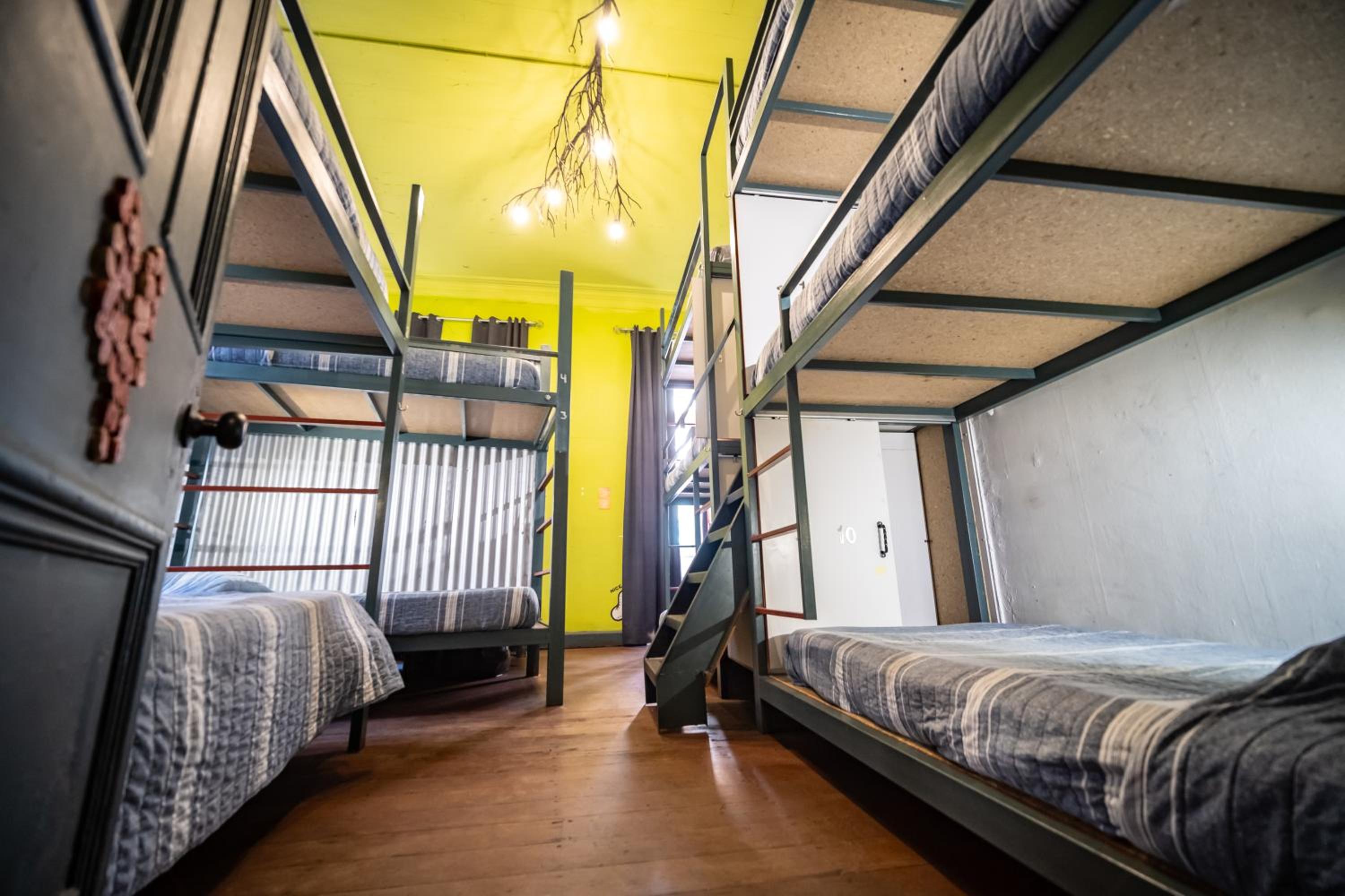 Bunk Bed in Mixed Dormitory Room photo 2