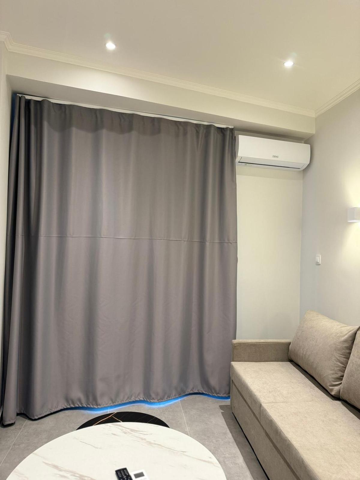 Deluxe One-Bedroom Apartment With City View