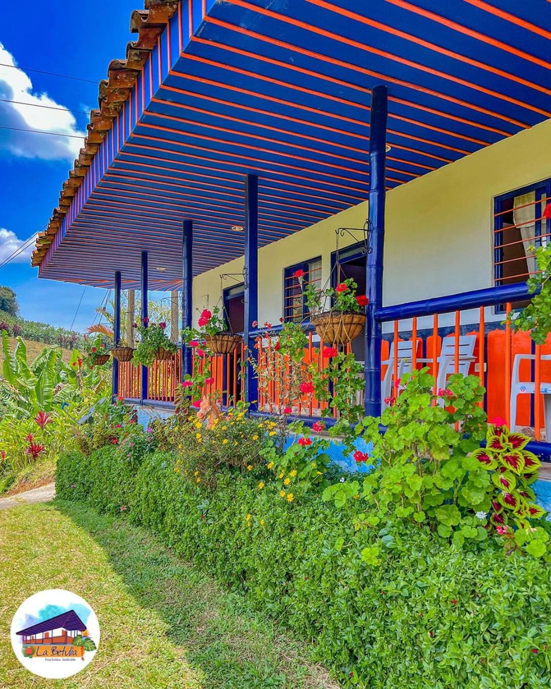 Three-Bedroom Chalet photo 1