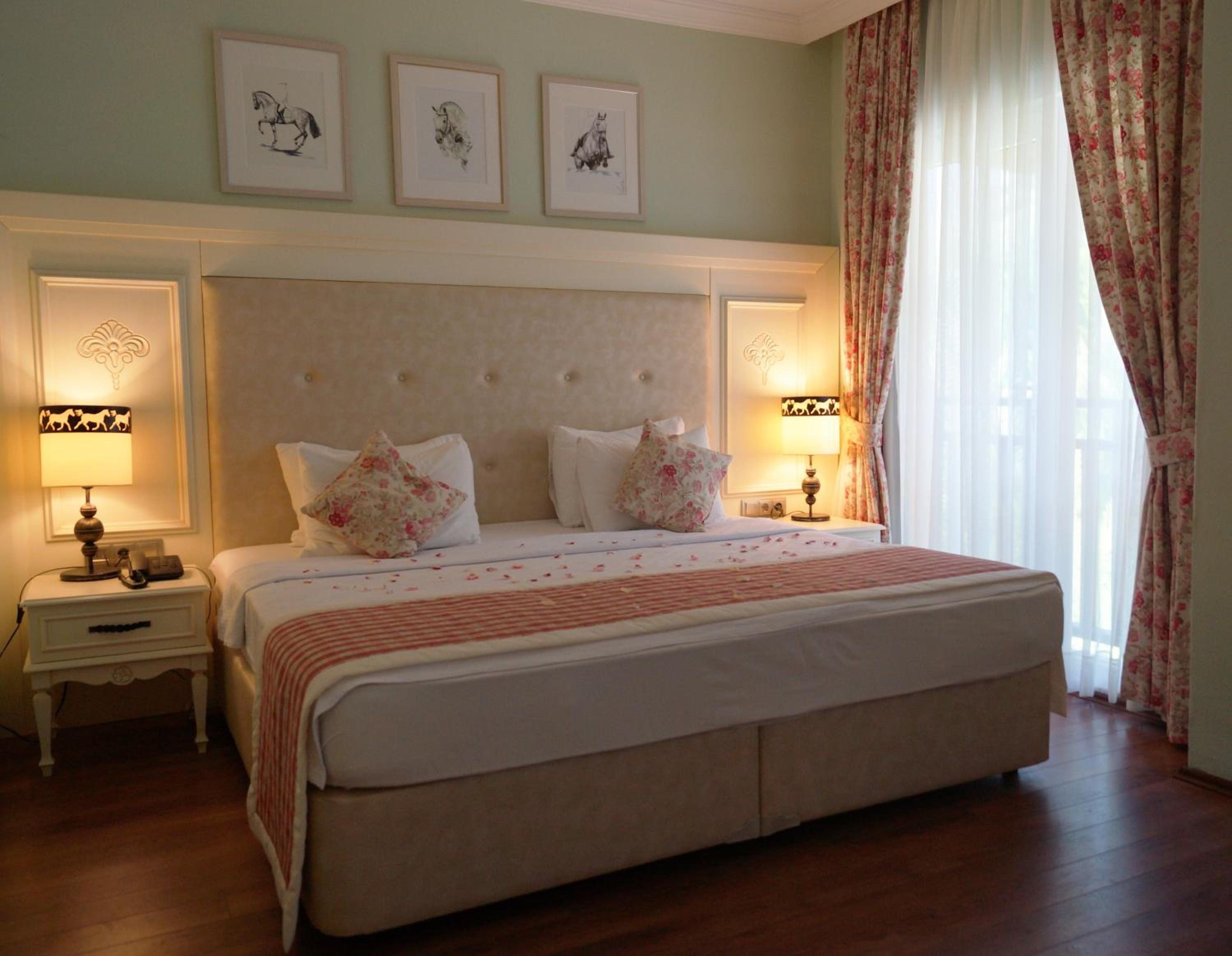 Deluxe Double Room photo 2