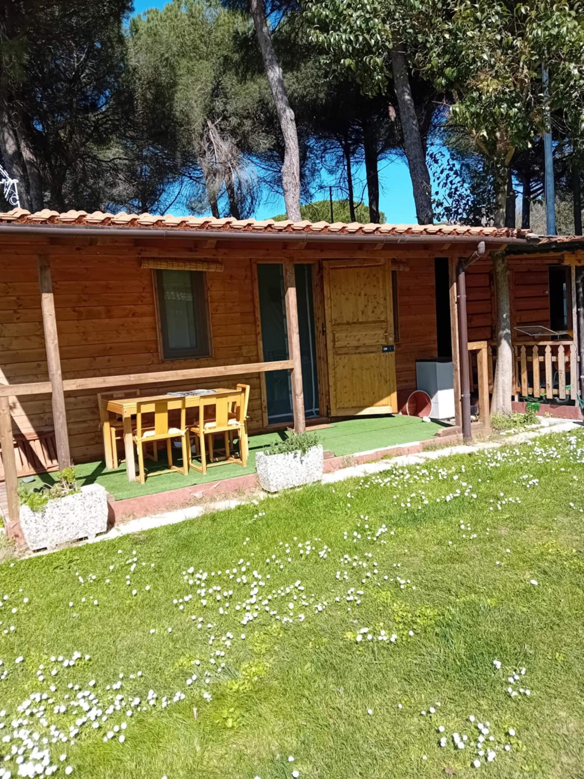 Mobile Home photo 3