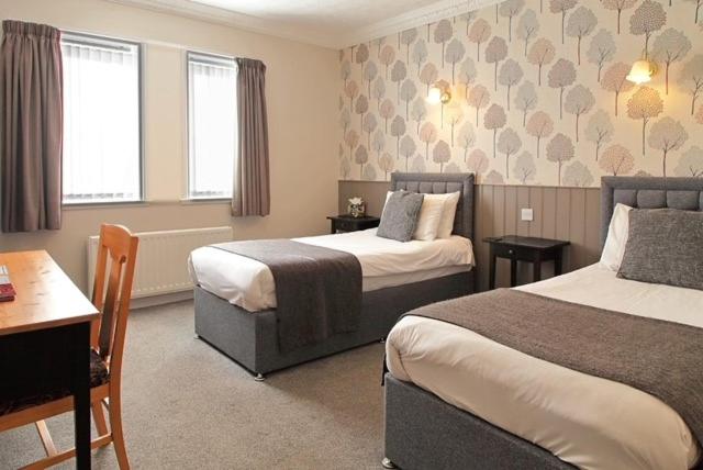 Twin Room photo 2