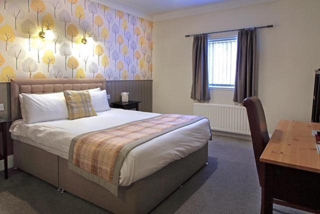 Double Room photo 3