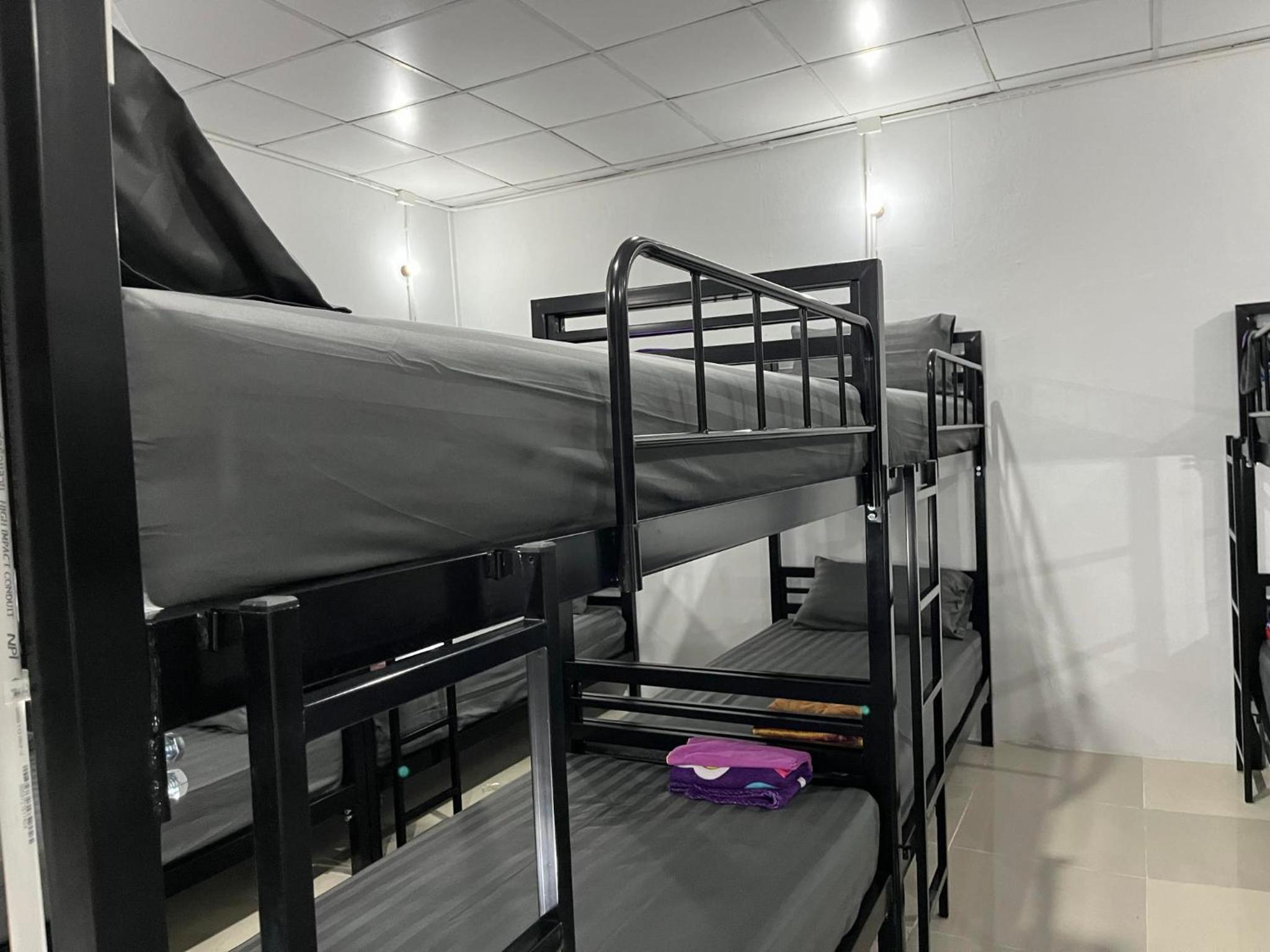 Bunk Bed in Mixed Dormitory Room photo 1