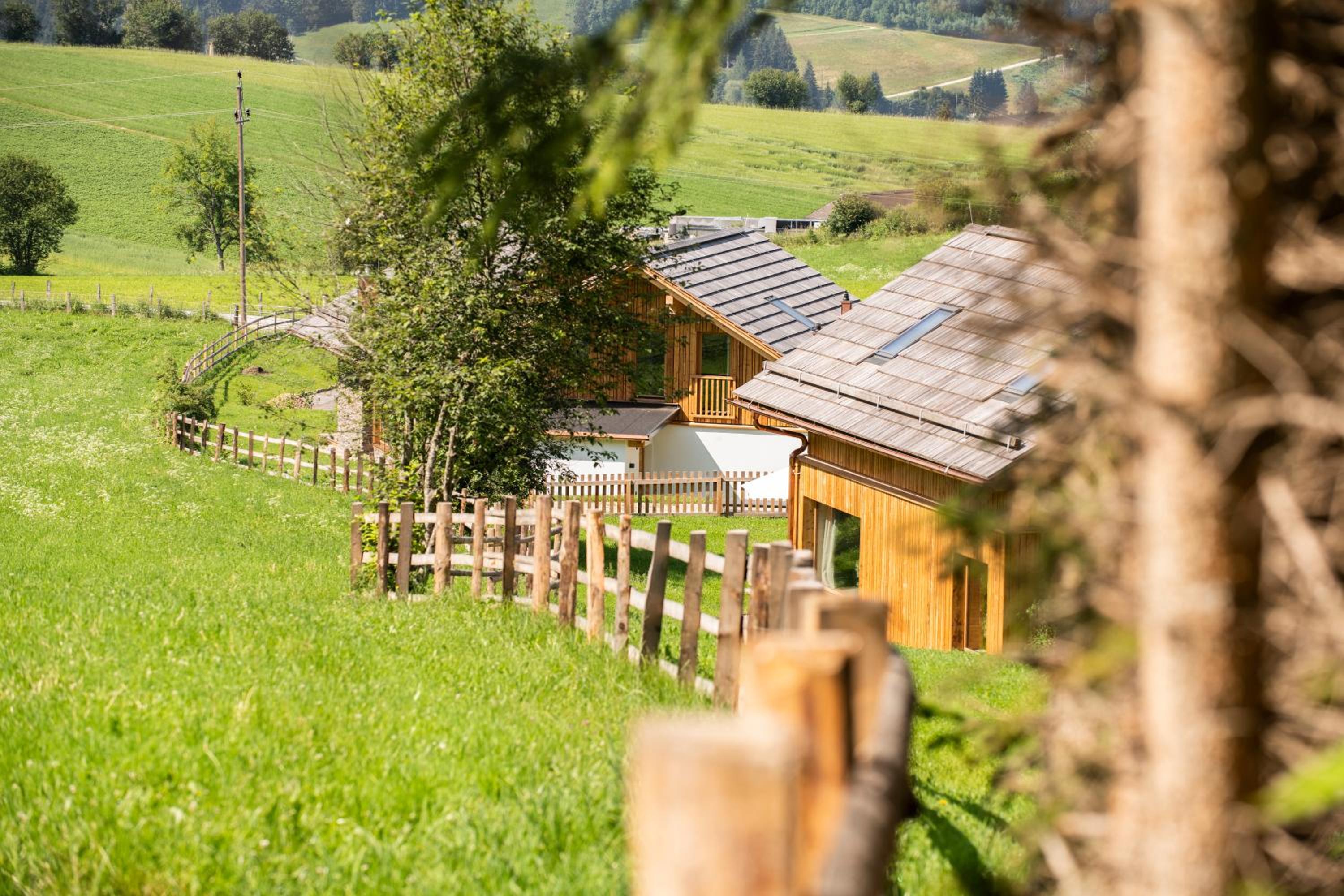 Wellness Chalet - Photo 7