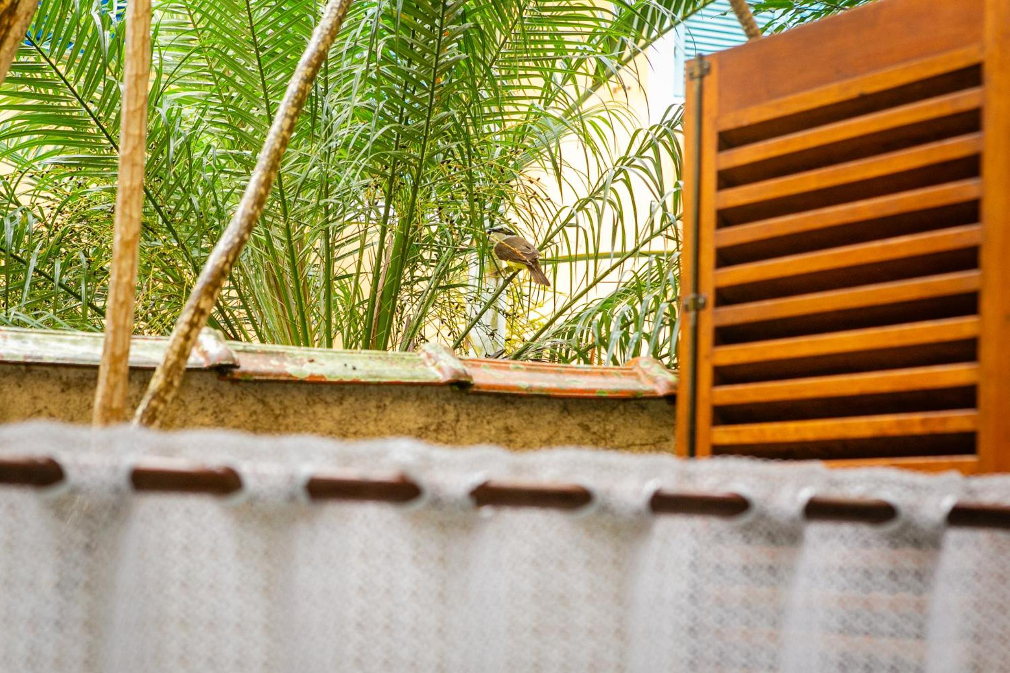 Standard Double Room - Photo 9