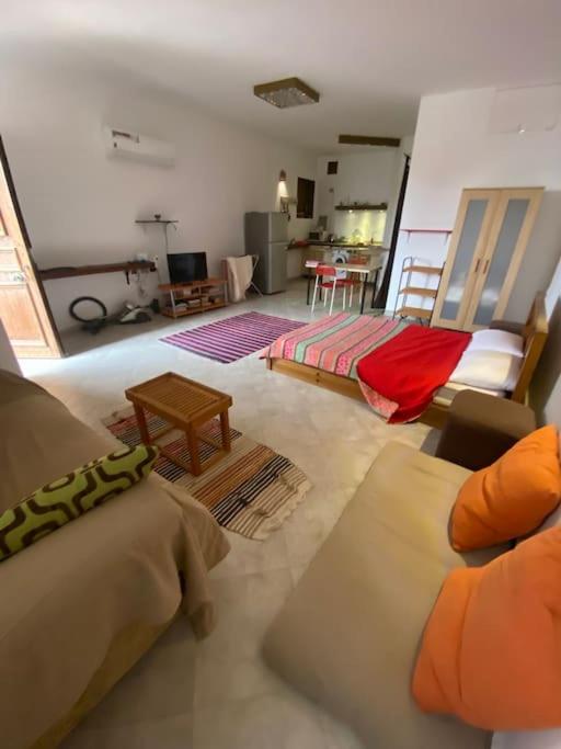 One-Bedroom House photo 2