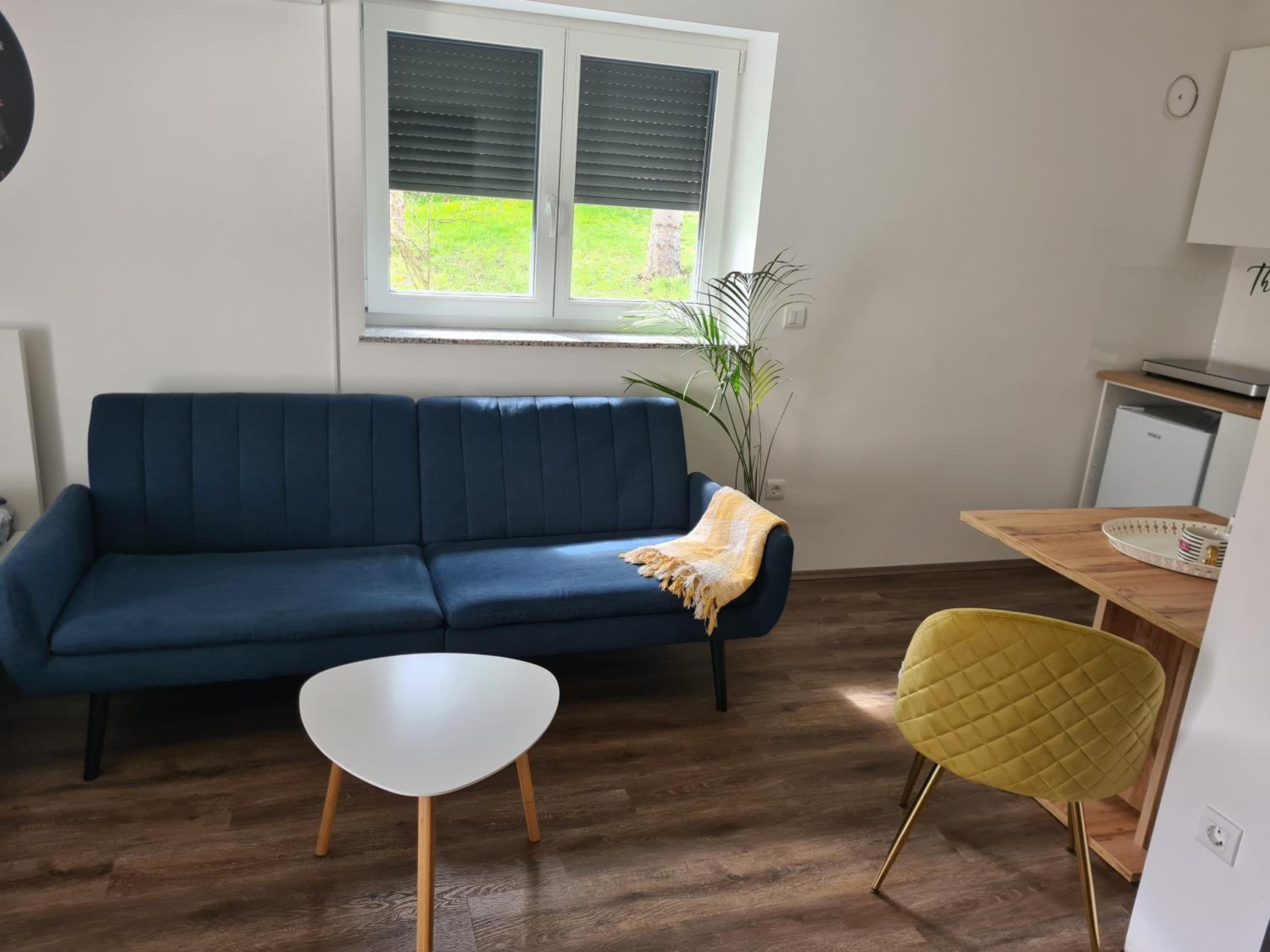 Apartment With Terrace photo 3