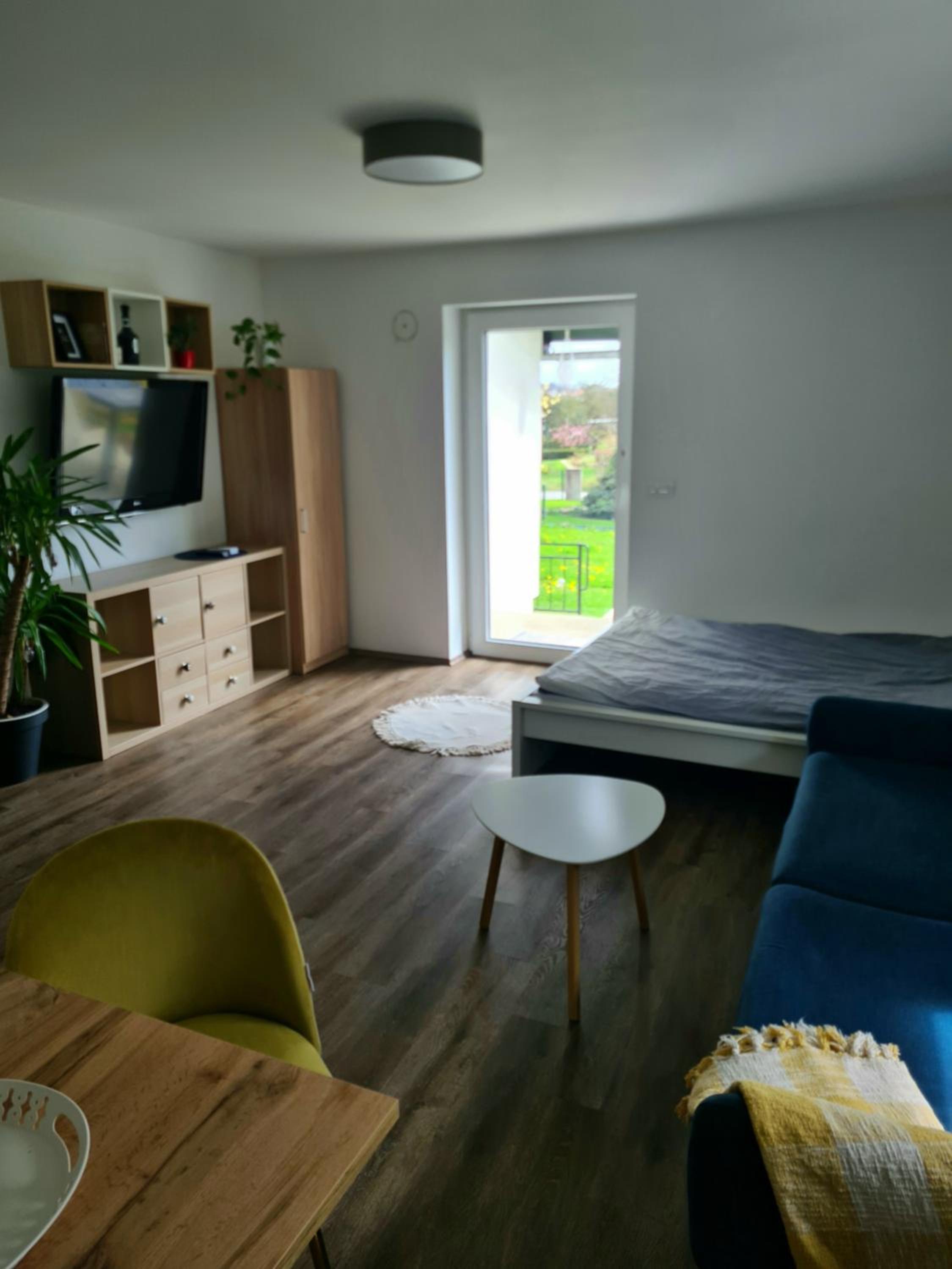 Apartment With Terrace