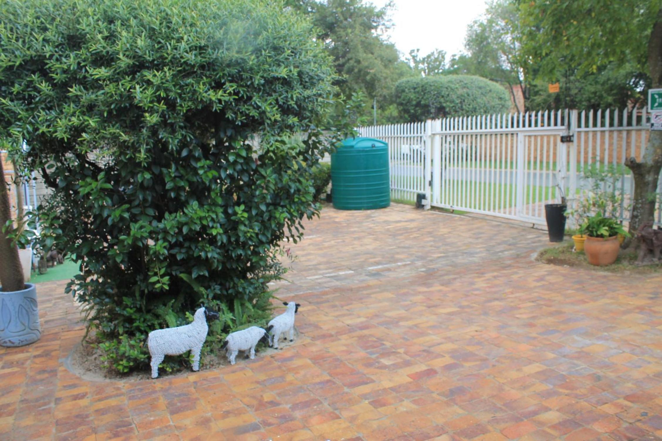 Double Room with Patio photo 2