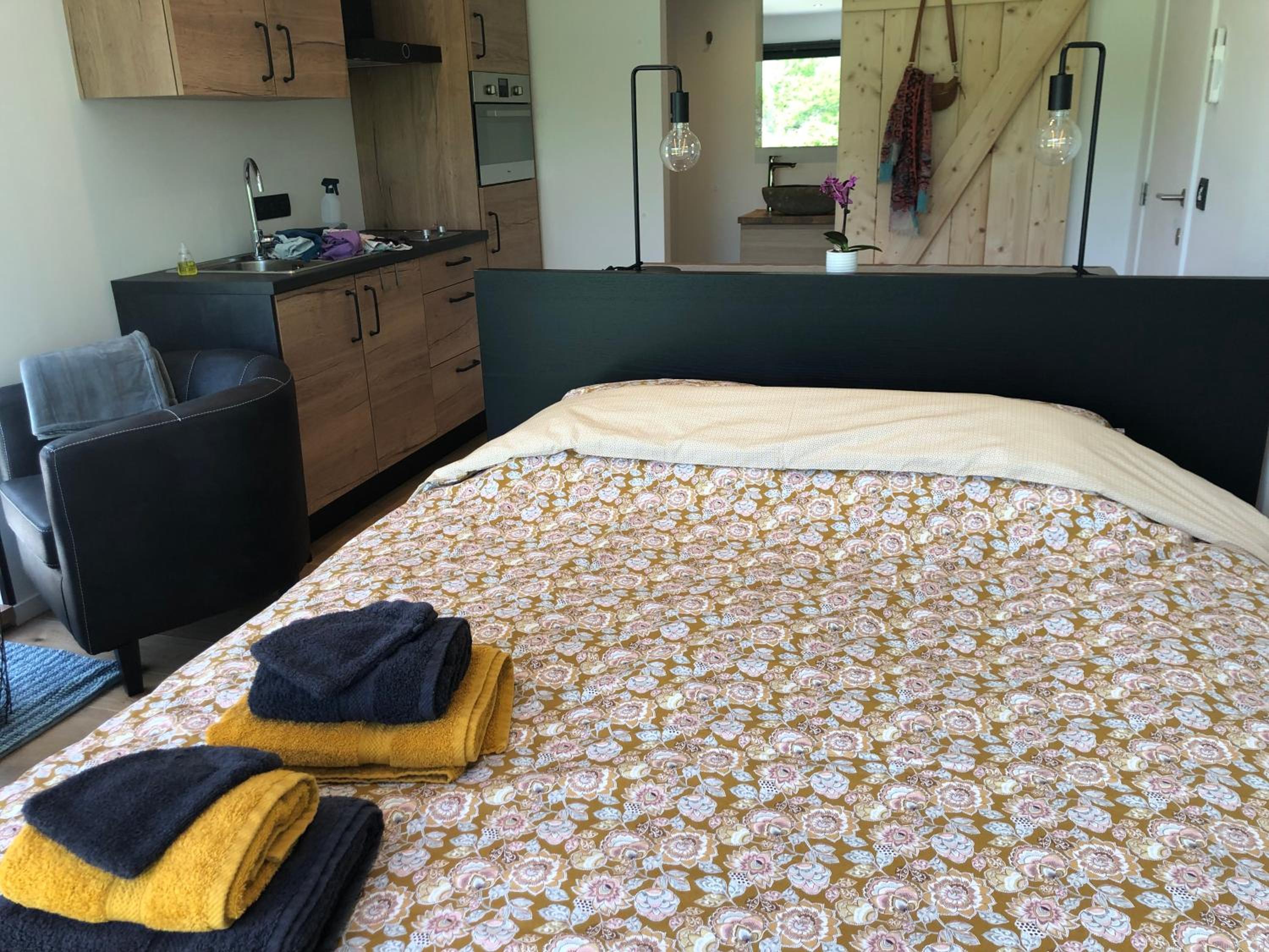 Deluxe Double Room photo 3