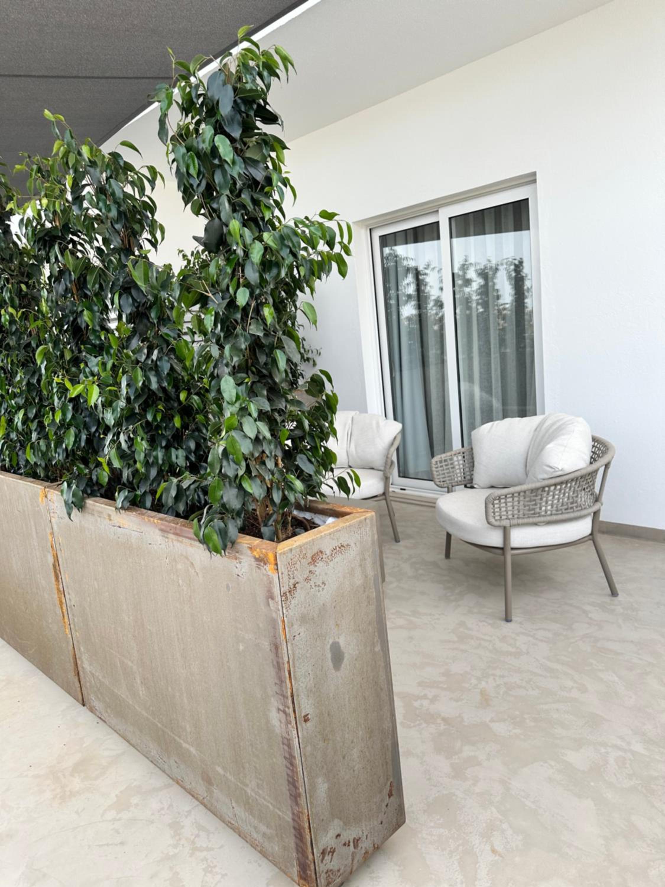 Double Room with Terrace photo 3