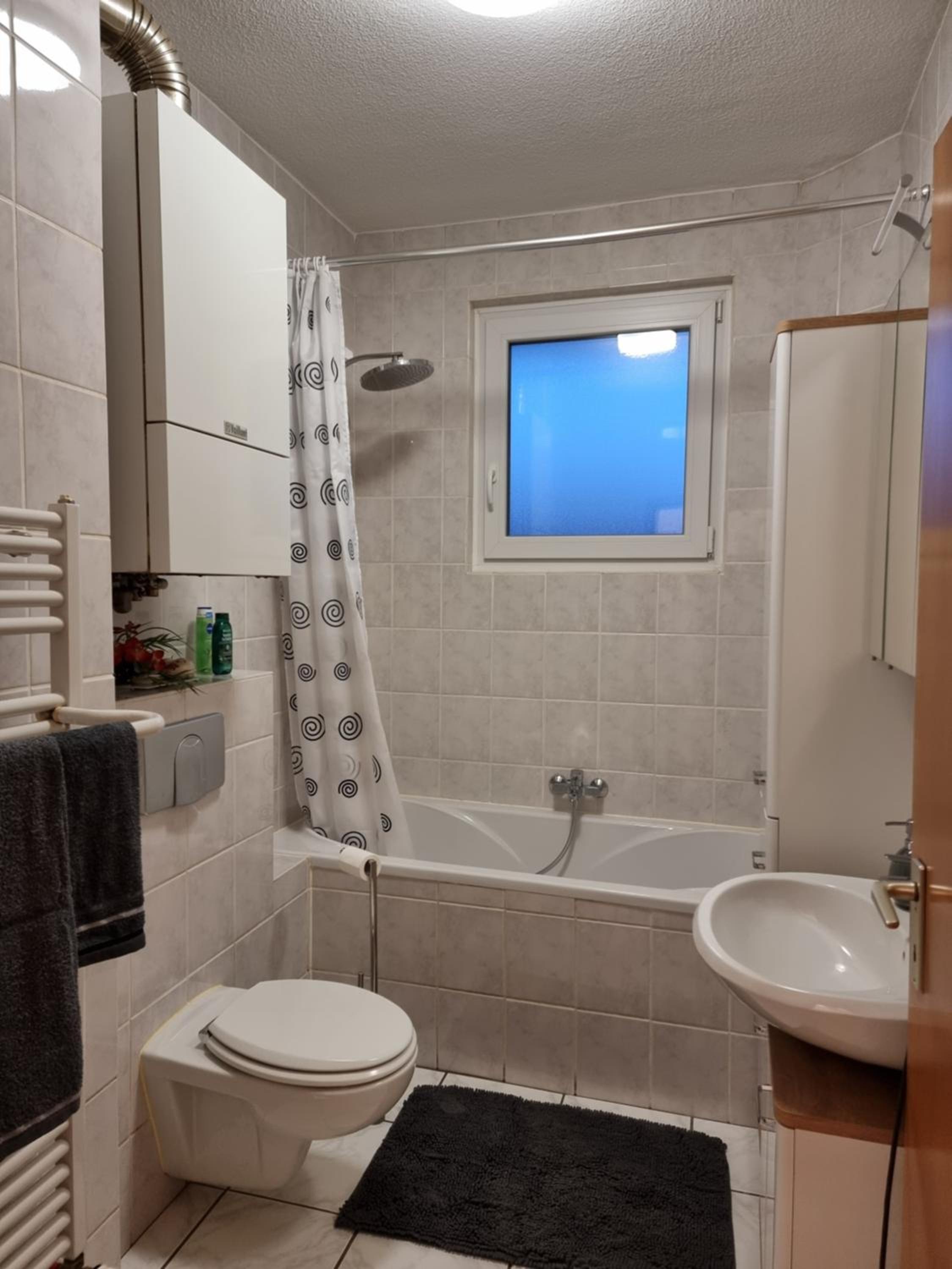 One-Bedroom Apartment photo 3