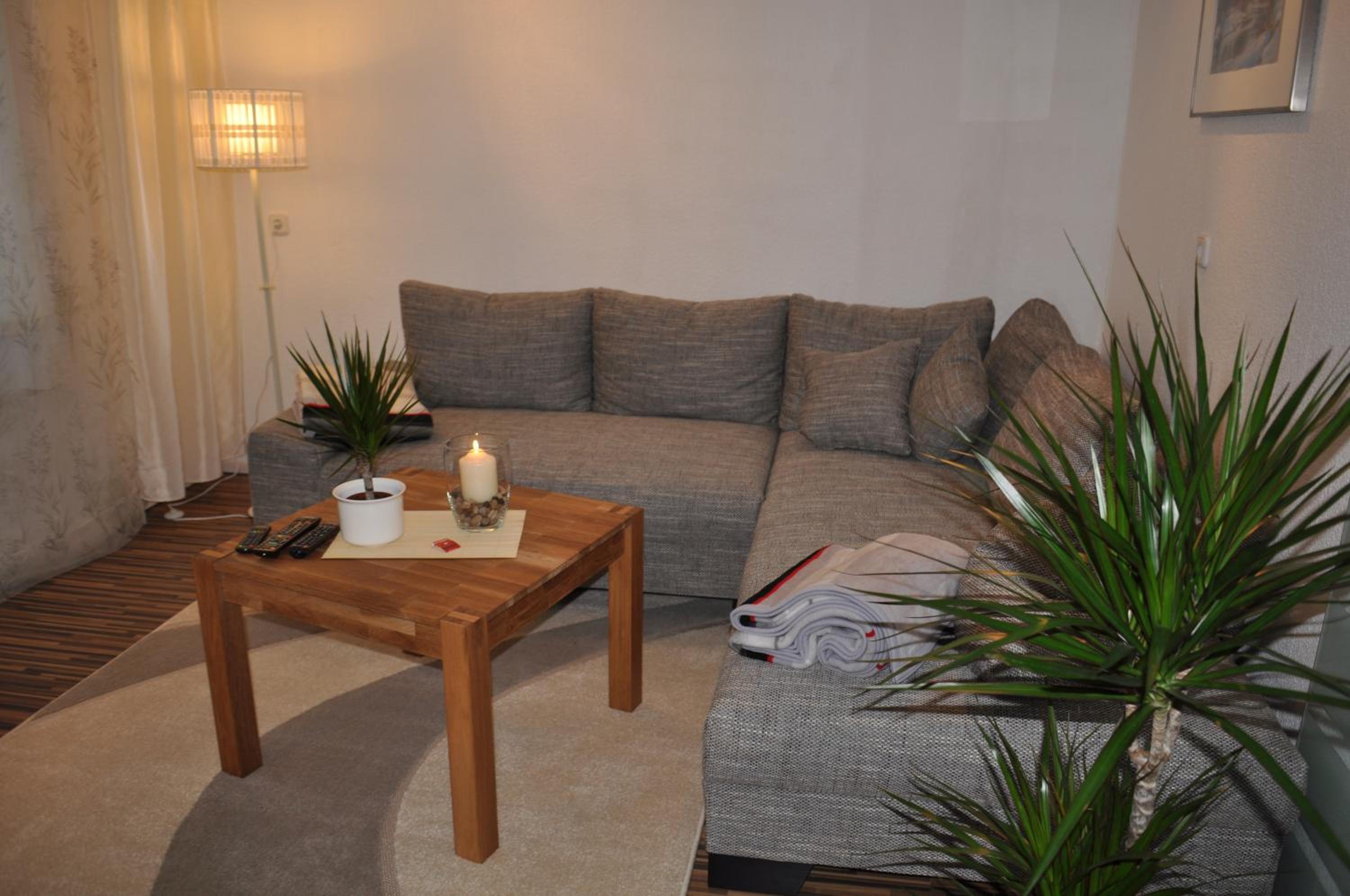 One-Bedroom Apartment photo 3