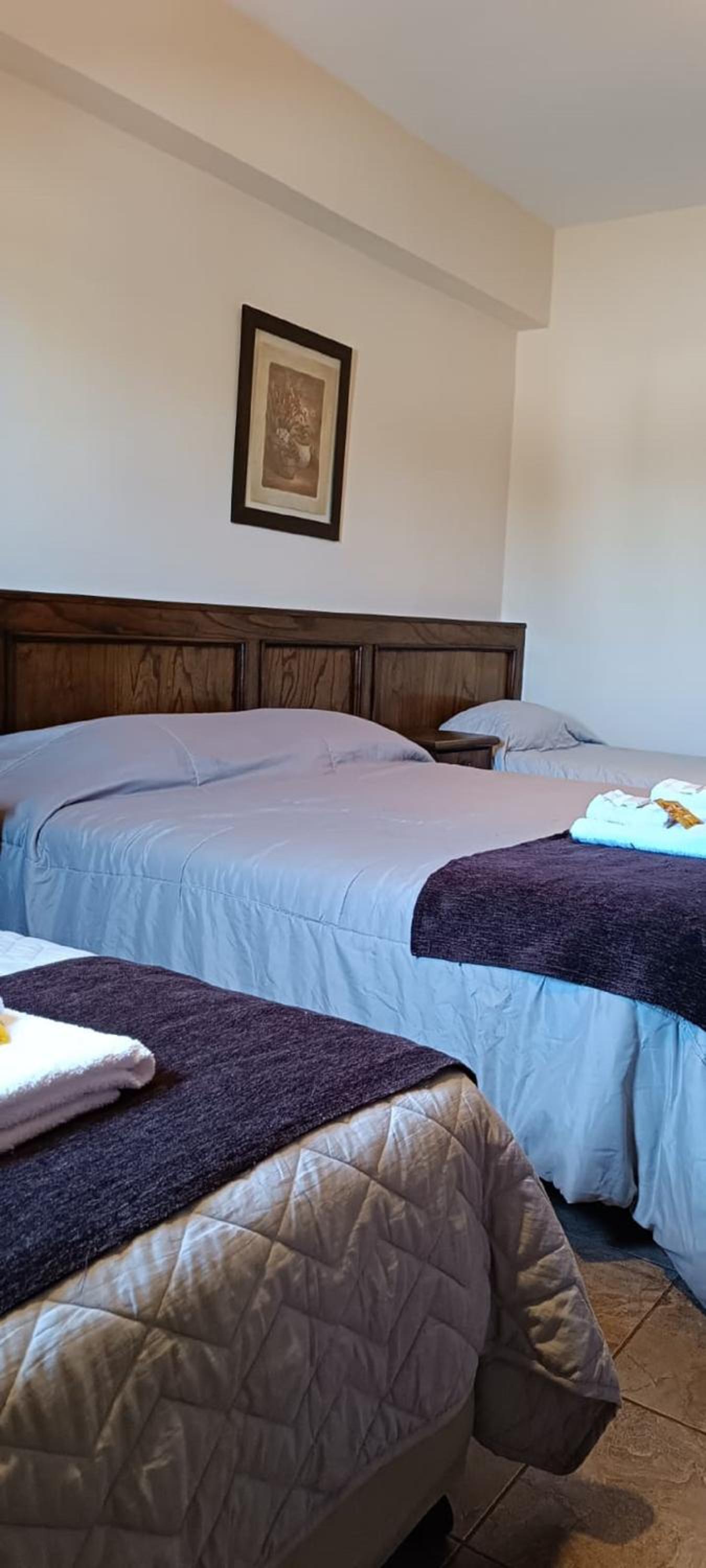 Comfort Quadruple Room photo 1
