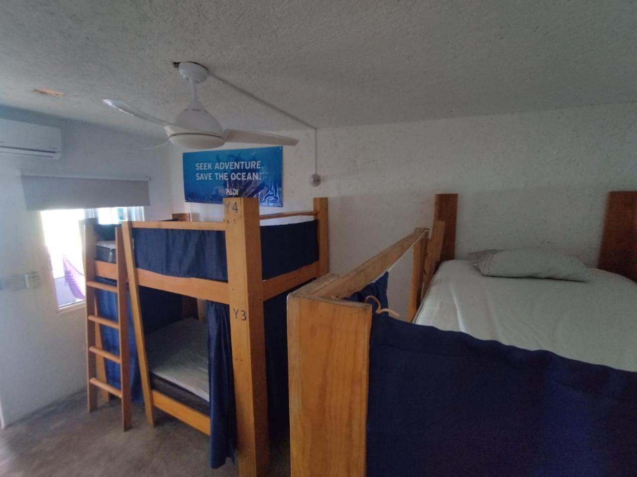 Single Bed In Mixed Dormitory Room photo 2